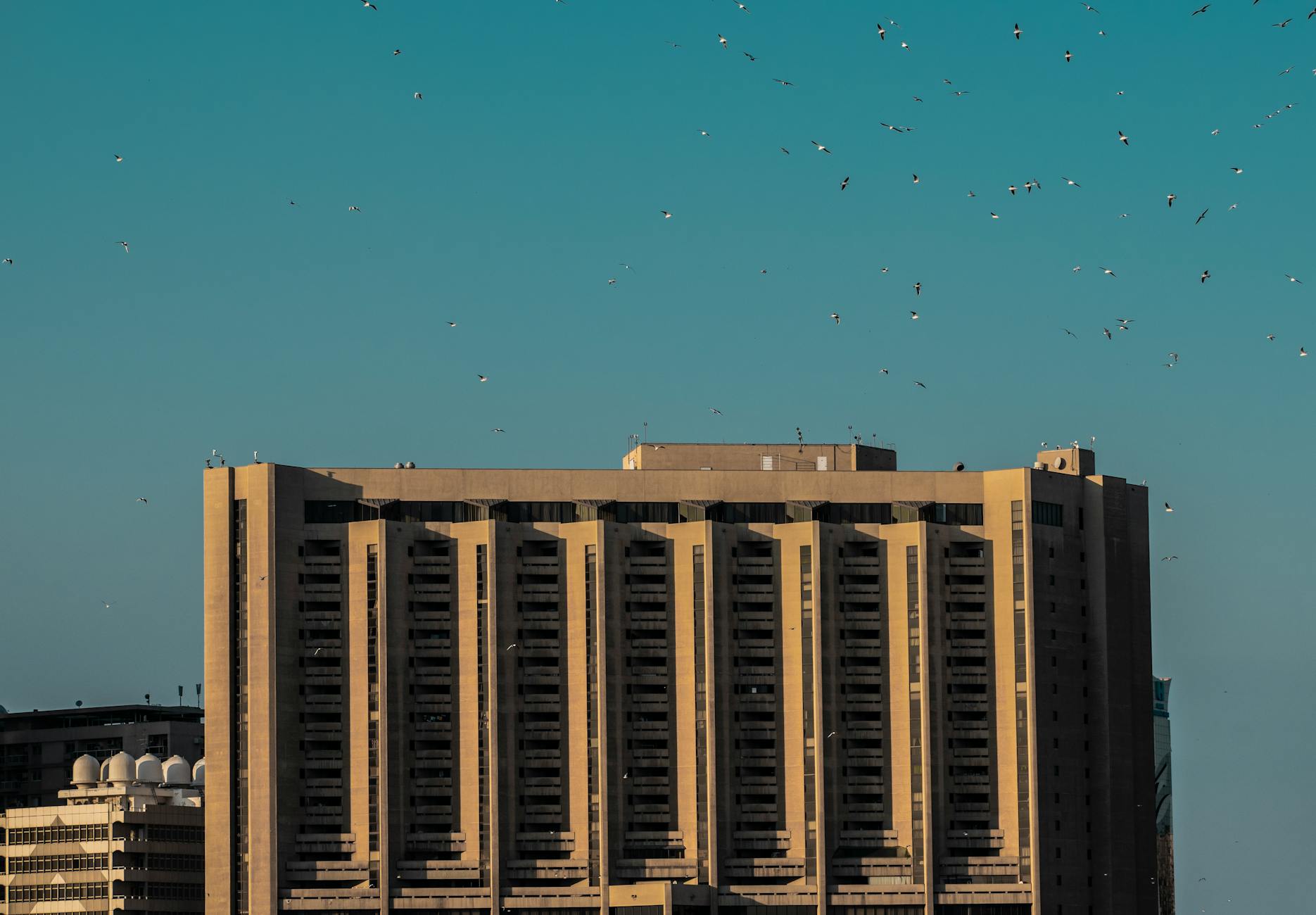 Healthcare — Dubai Harbour