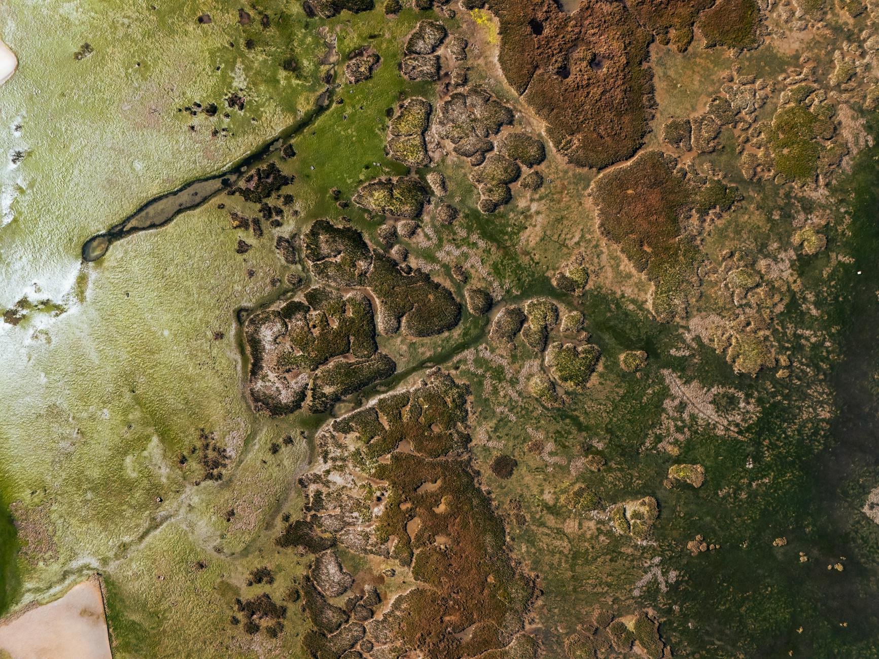Geography Profile — Parra