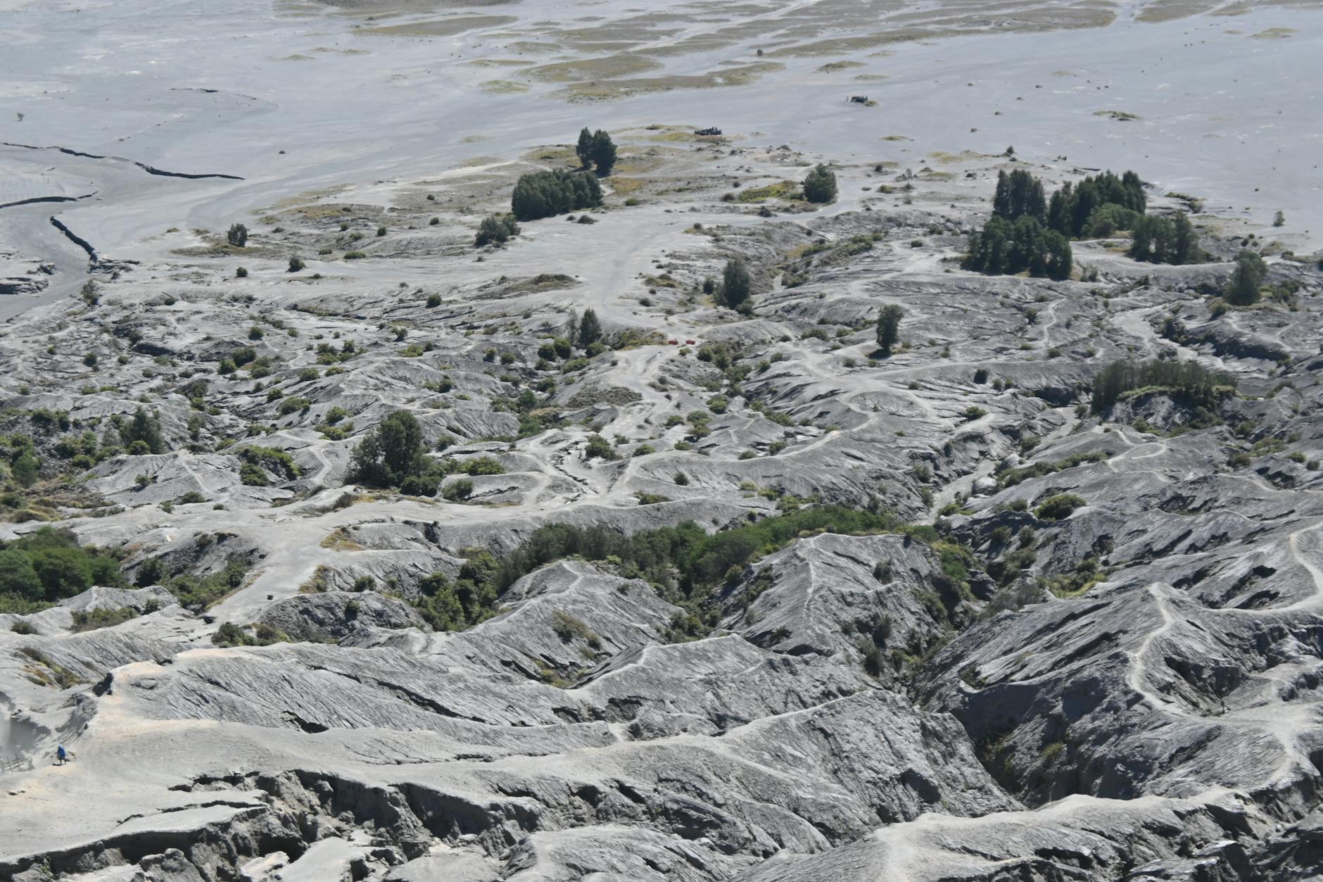 Geography Profile — Dooars