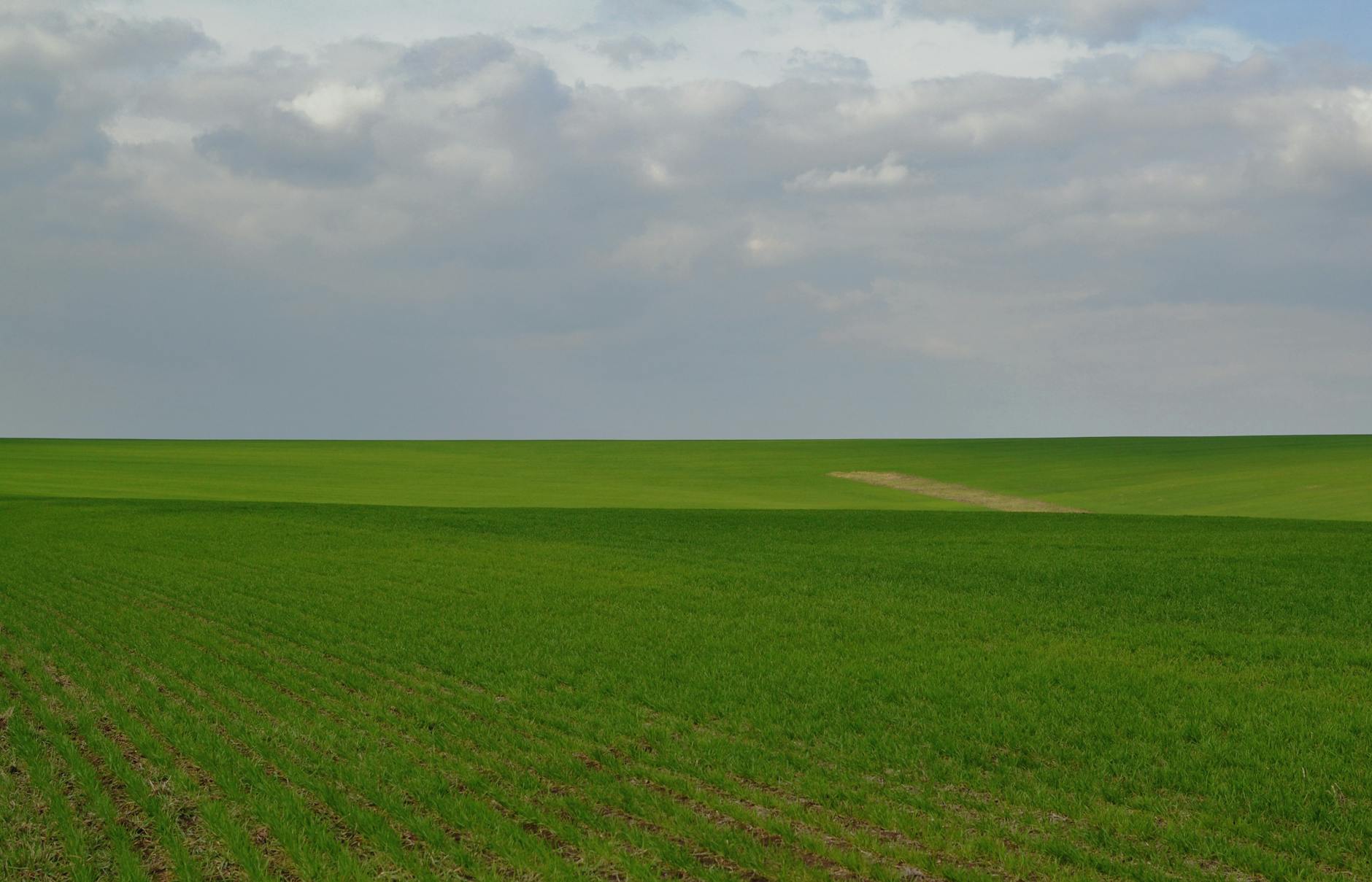 Geography Profile — Kandigai