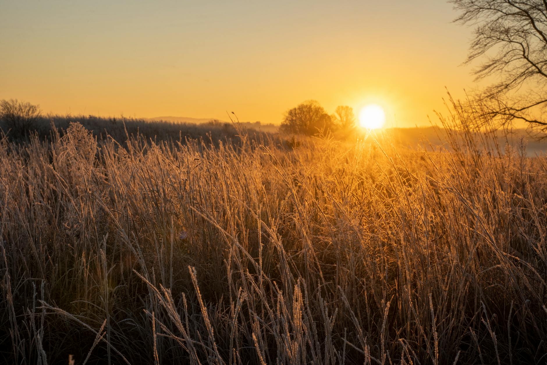 Climate Snapshot — Urse