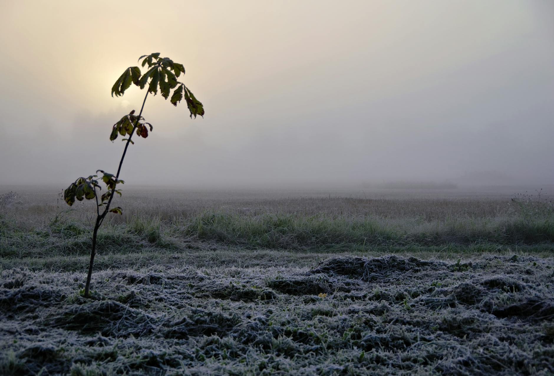 Climate Snapshot — Malur