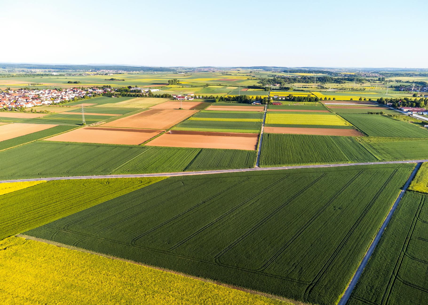 Soil & Ecology — Bagepalli