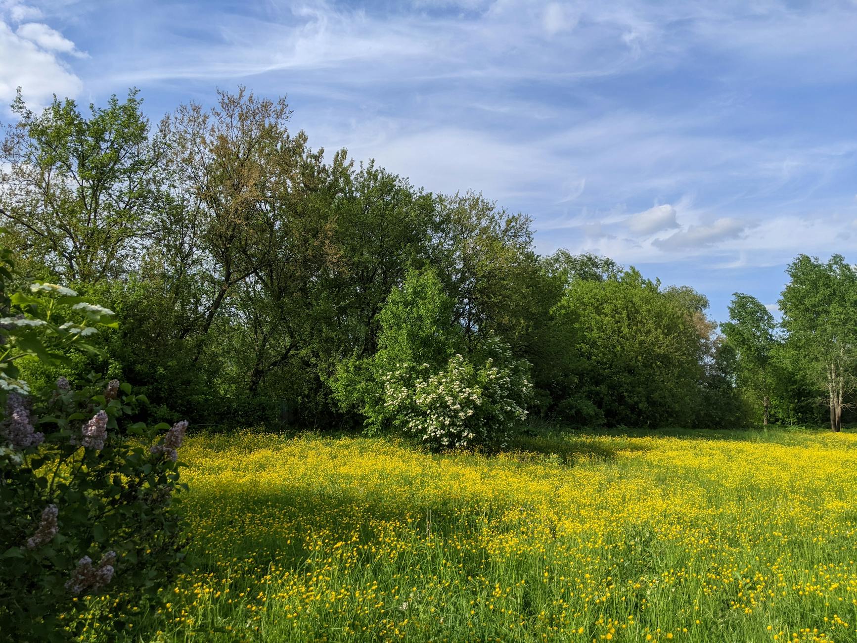 Soil & Ecology — Motor City