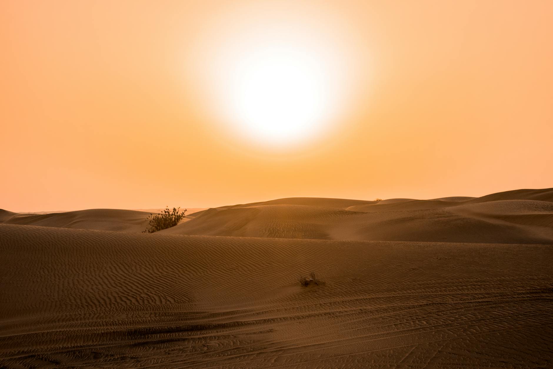 Climate Snapshot — Pali