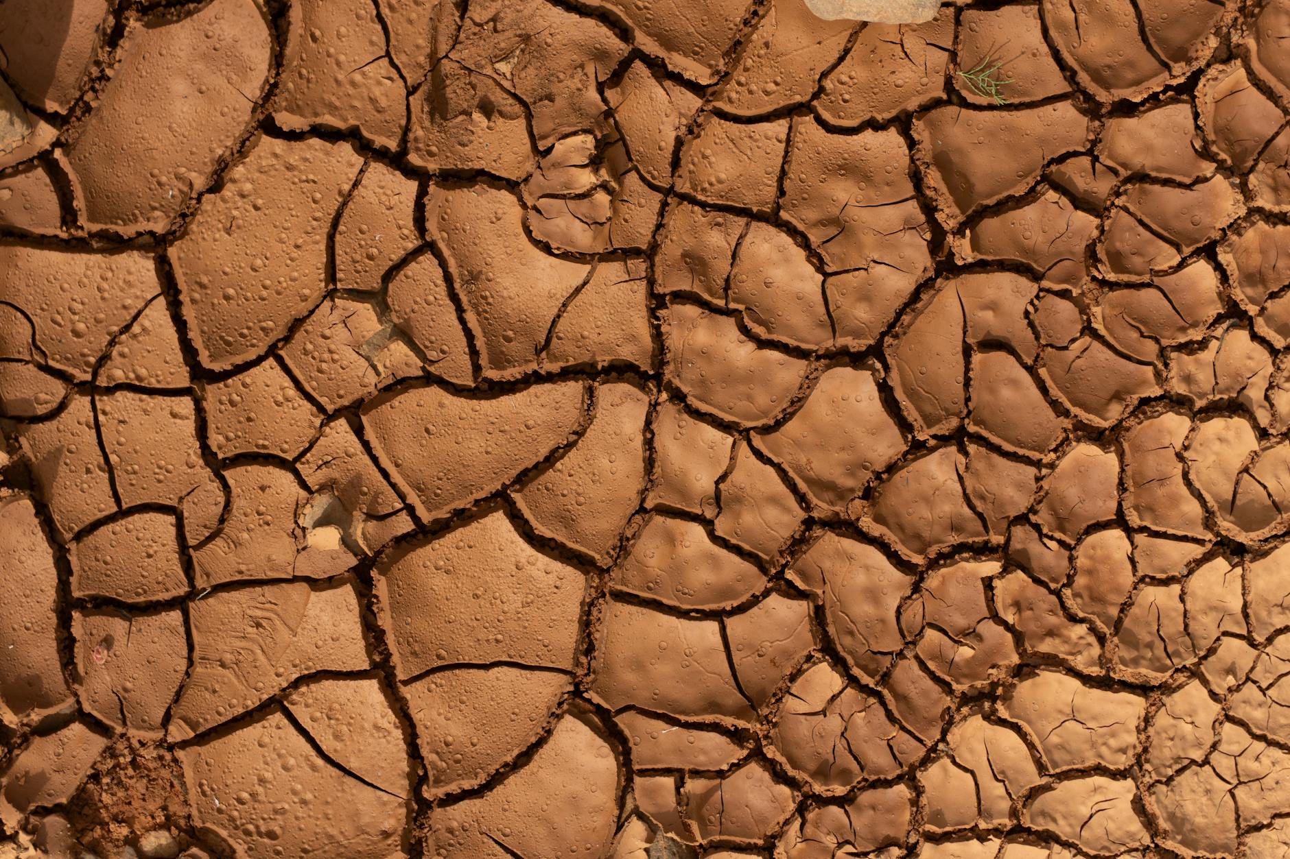 Climate Snapshot — Bhaktharahalli