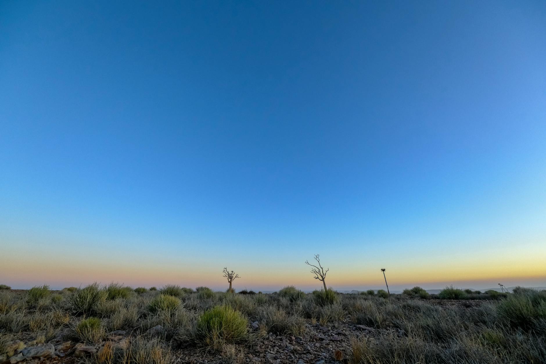 Climate Snapshot — Panna