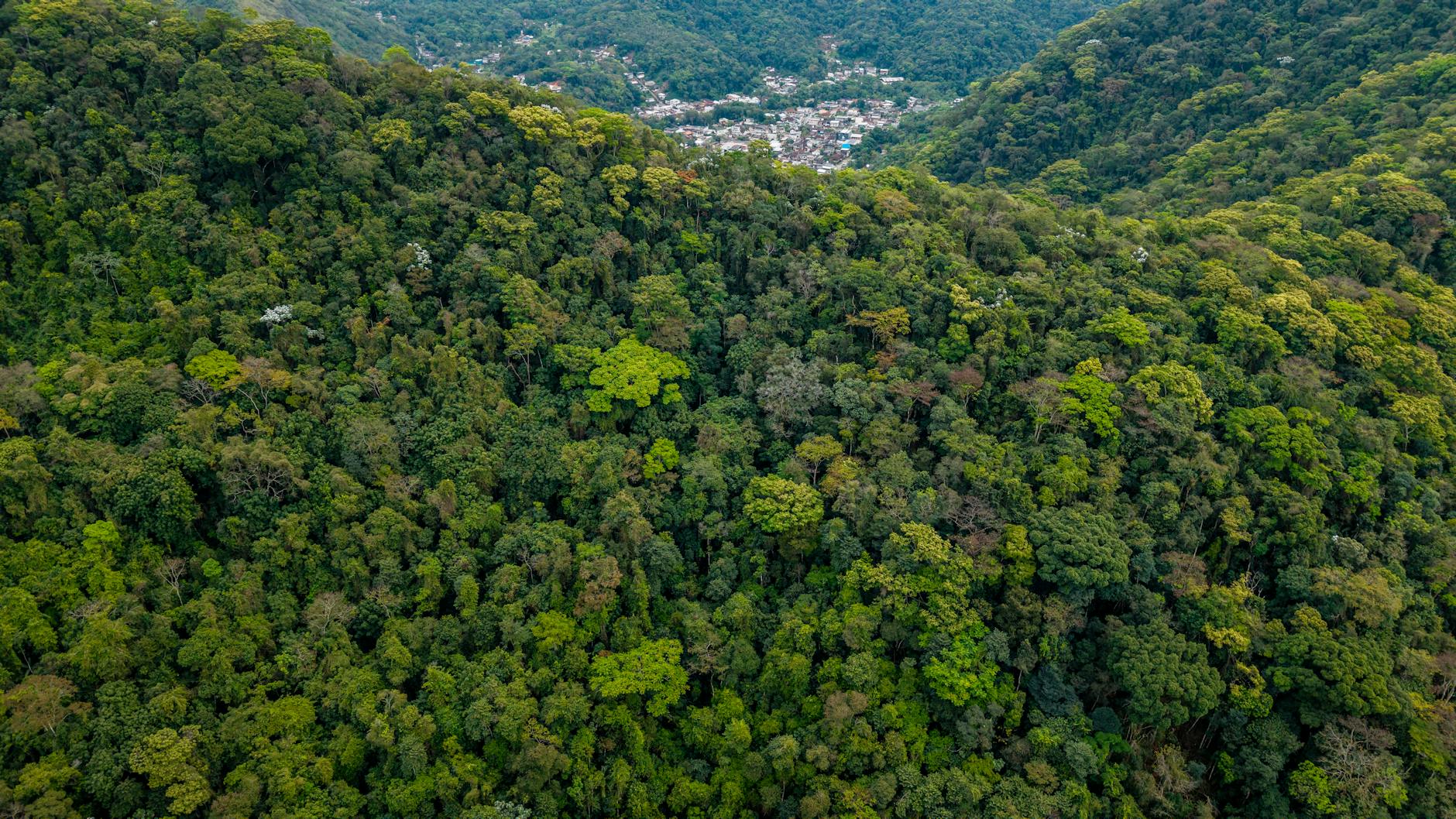 Soil & Ecology — Denkanikottai