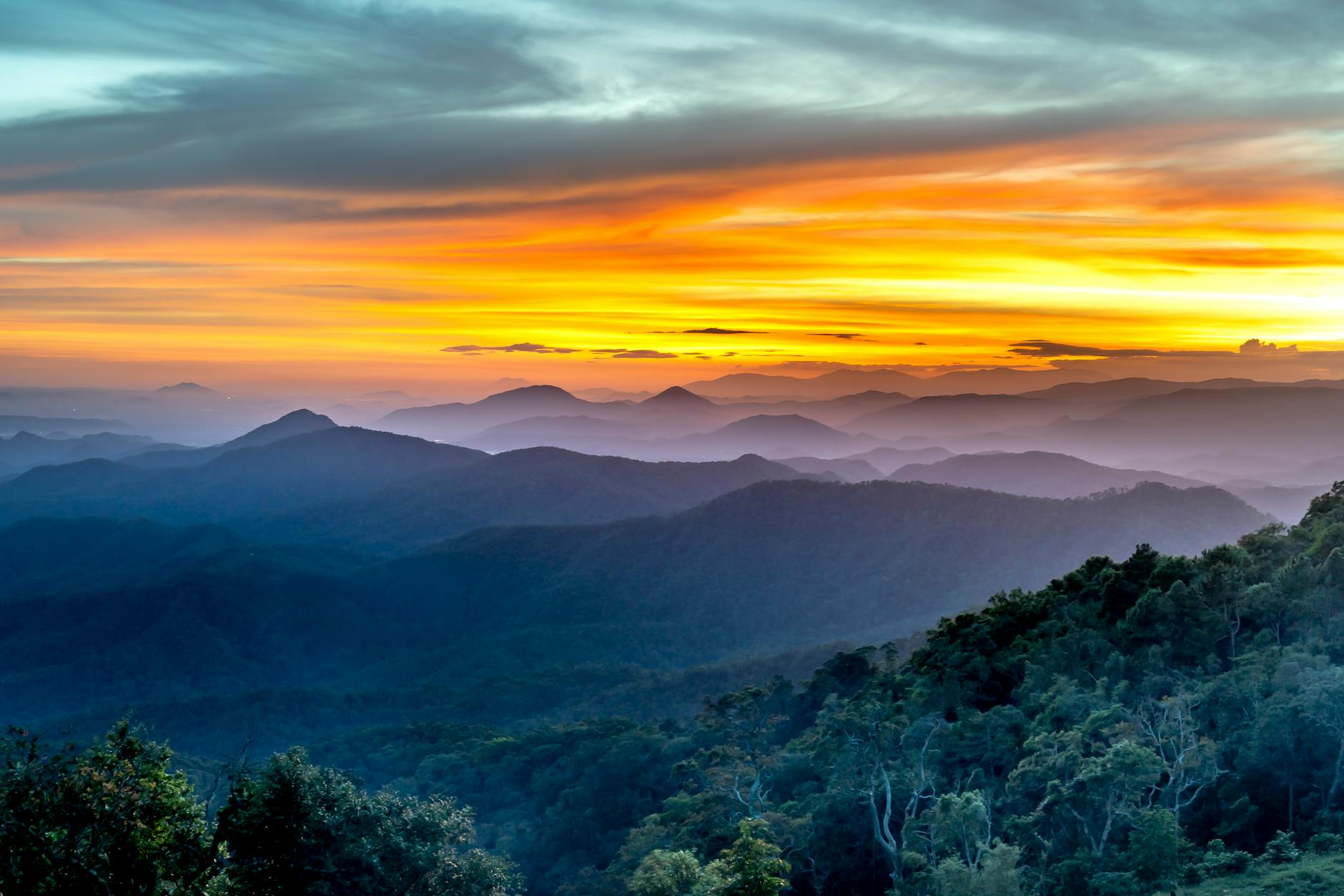 You'll Fall in Love — Ooty
