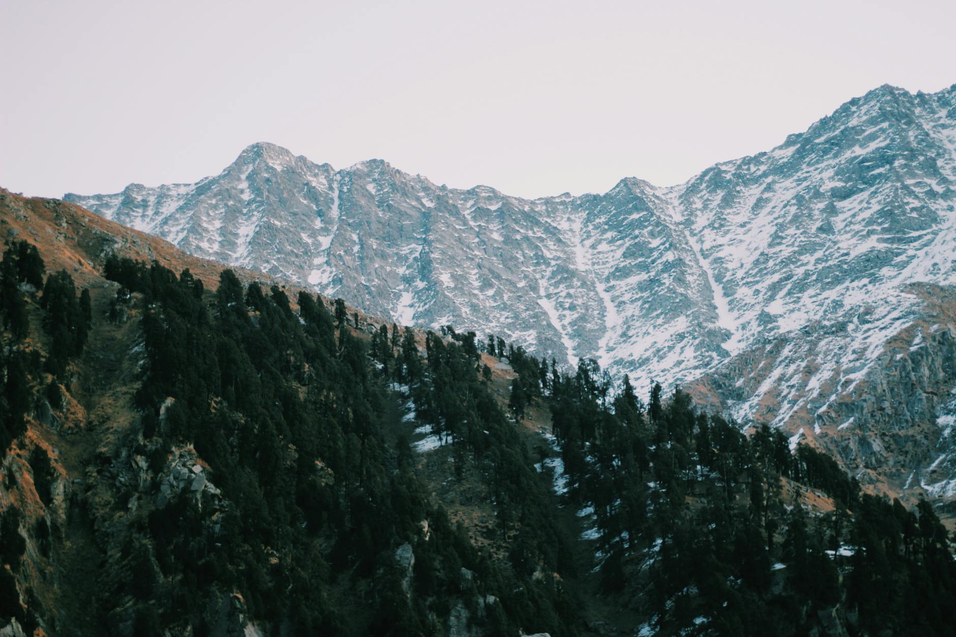 You'll Fall in Love — Narendra Nagar
