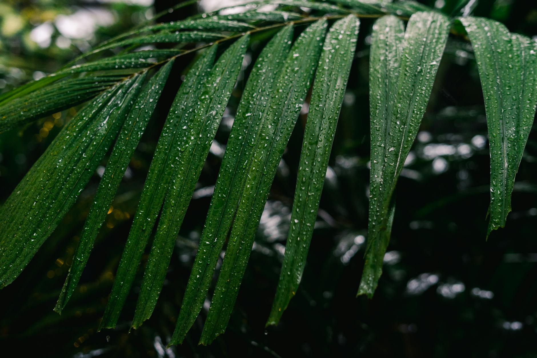 Climate Snapshot ā Kadamakkudy