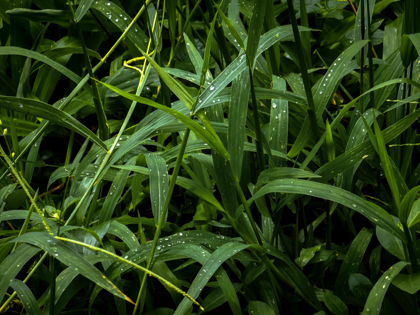 Climate Snapshot — Panshet