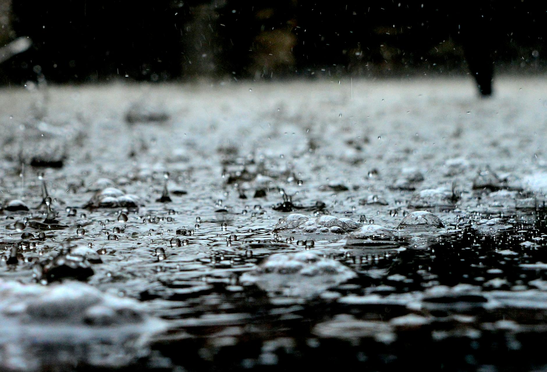 Climate Snapshot — Kerala