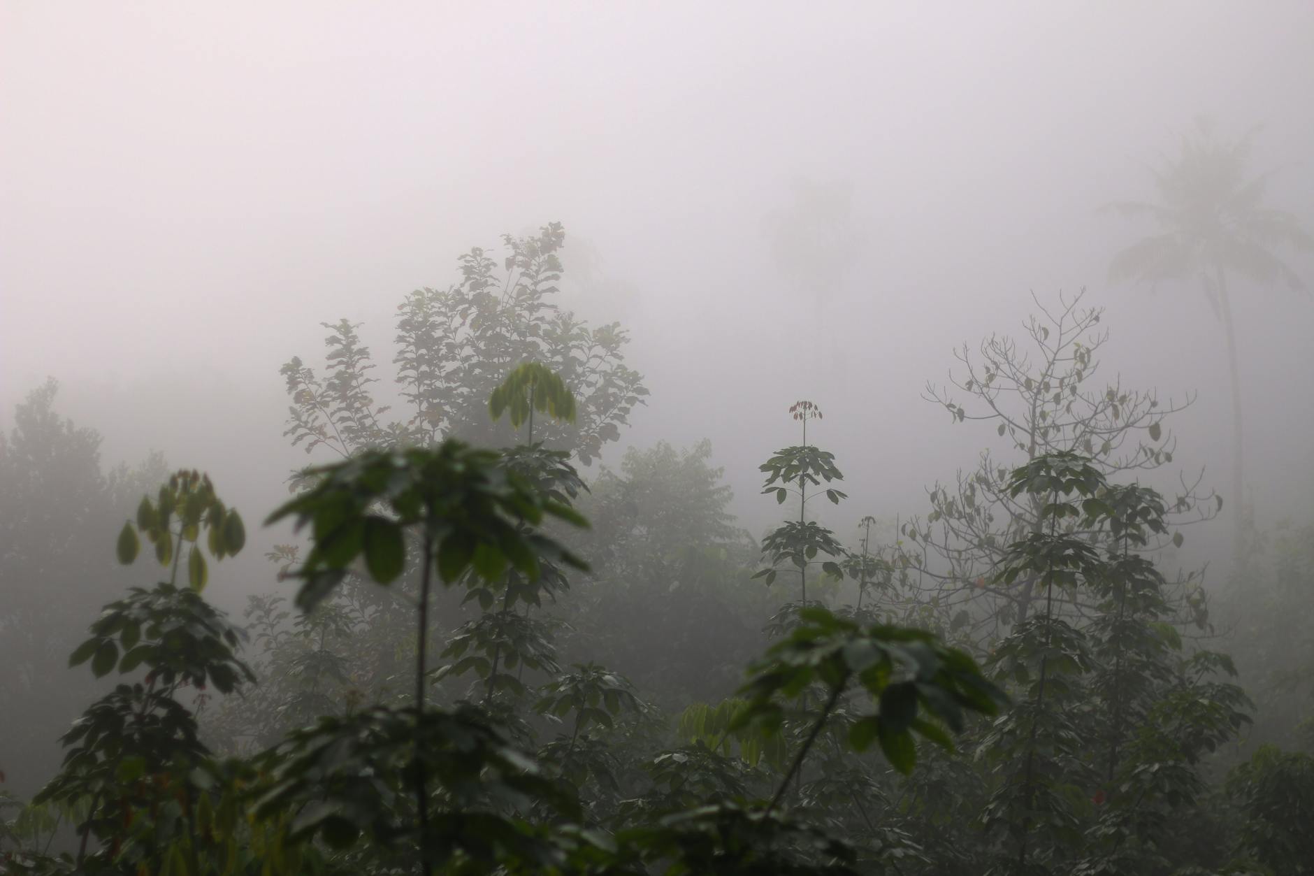 Climate Snapshot — Tungarli