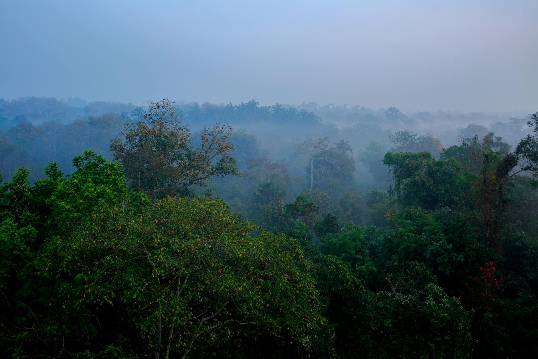 Climate Snapshot — Kashele