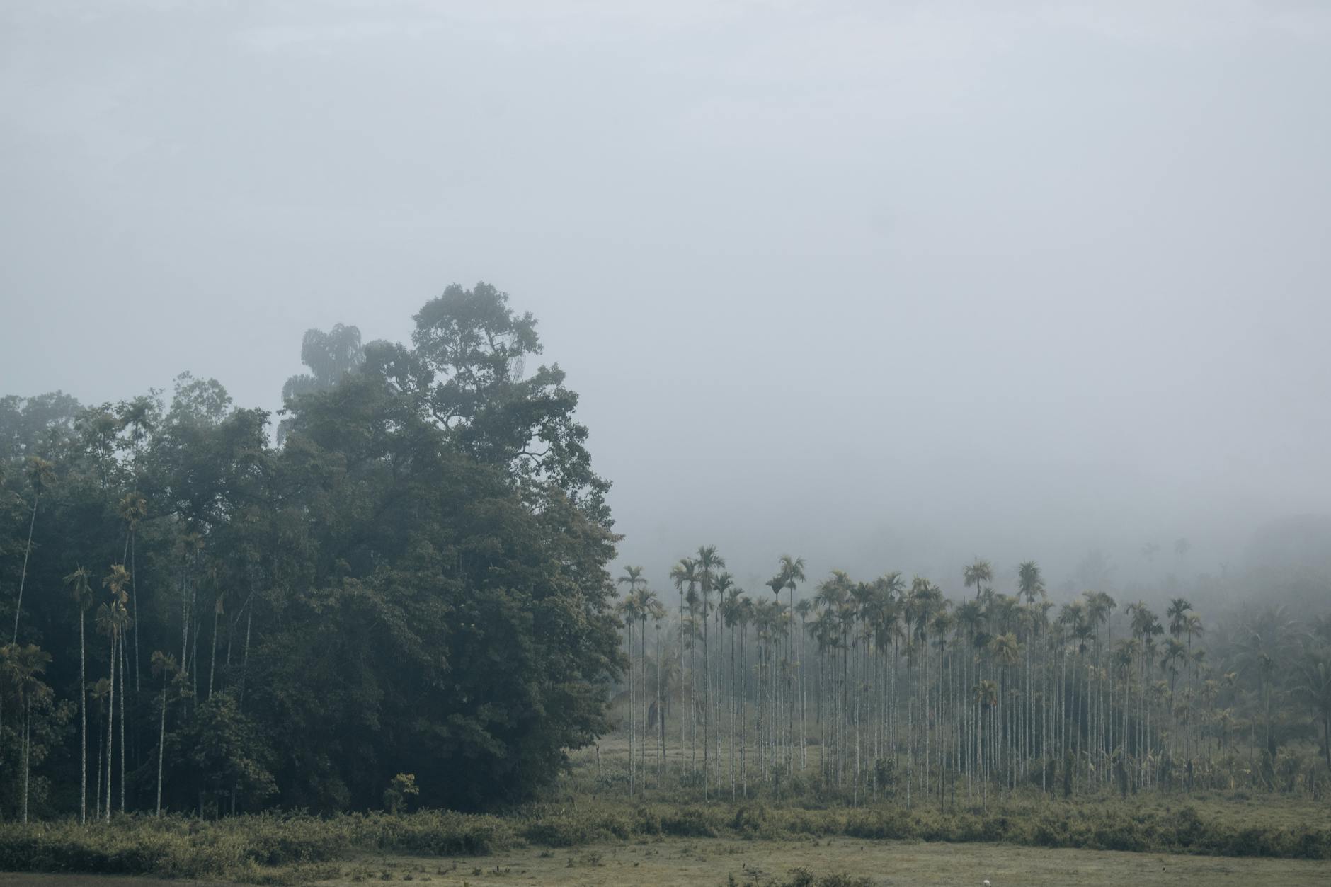Climate Snapshot — Dongargarh
