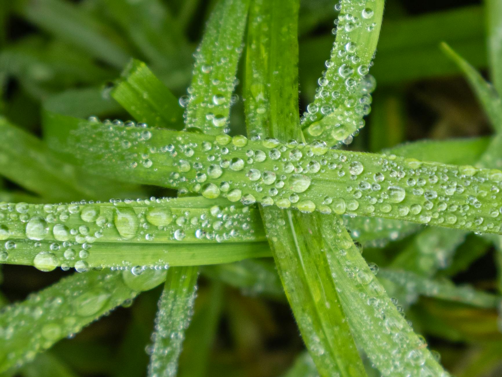 Climate Snapshot — Ramnagar