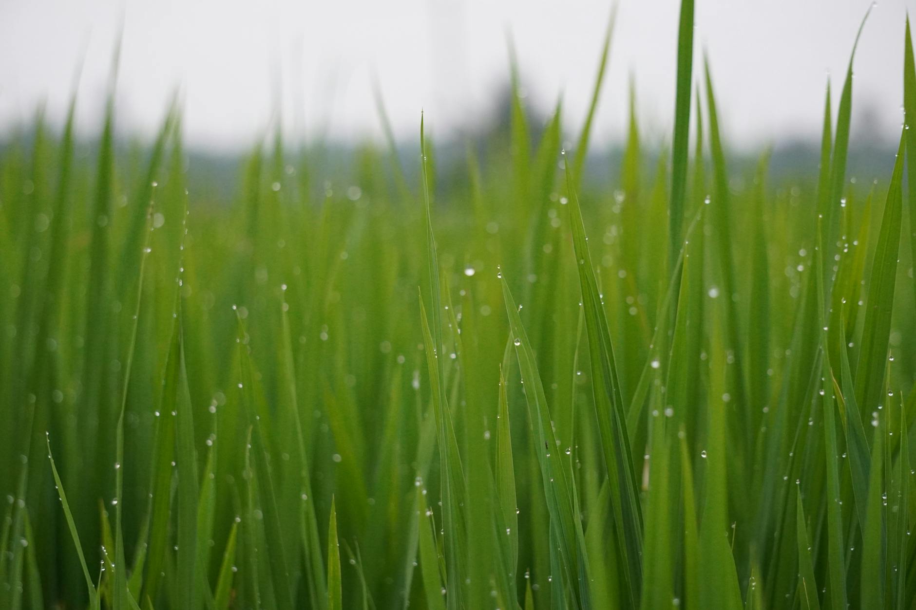 Climate Snapshot — Nandivali