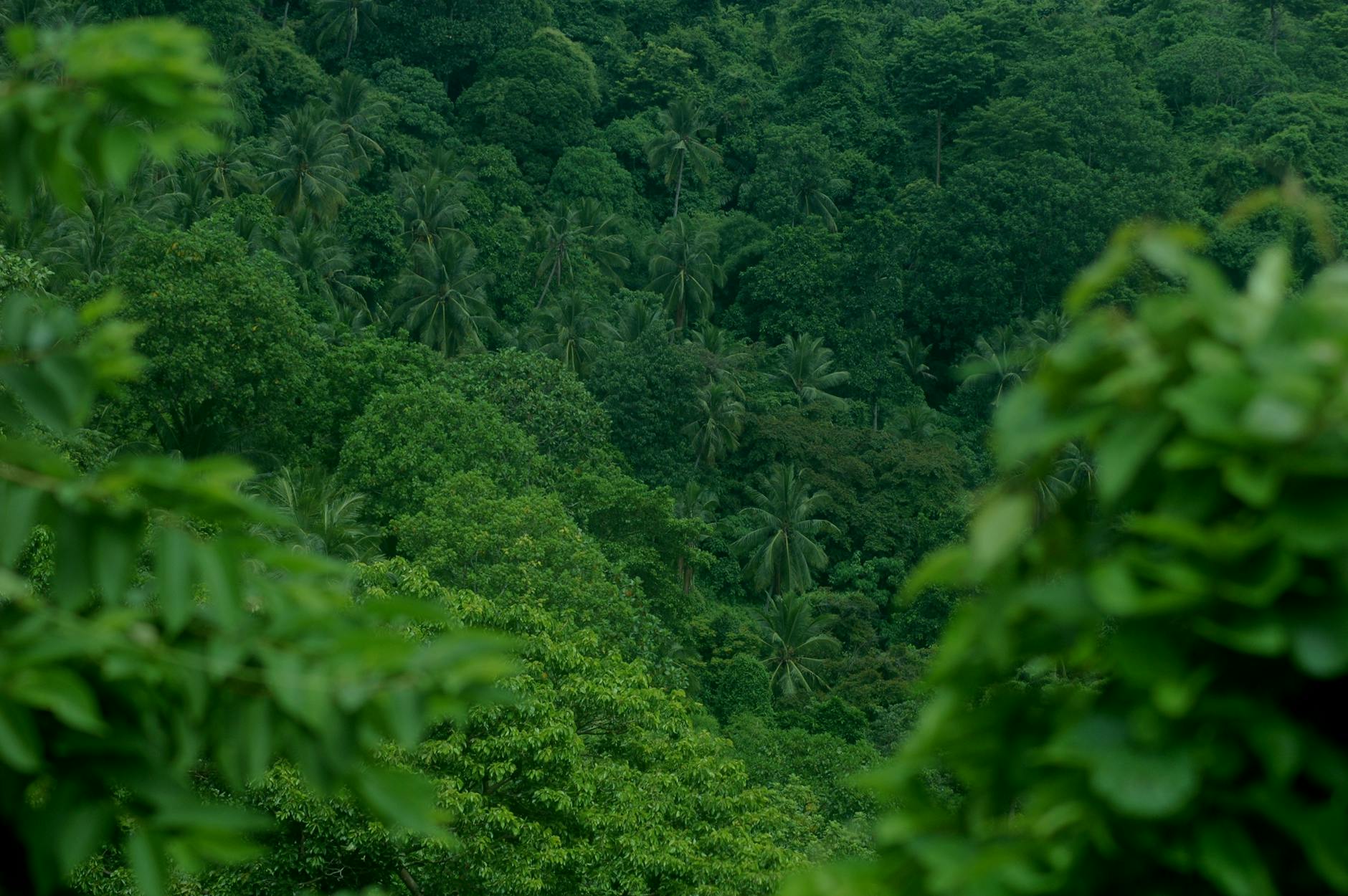 Soil & Ecology — Gidamgad