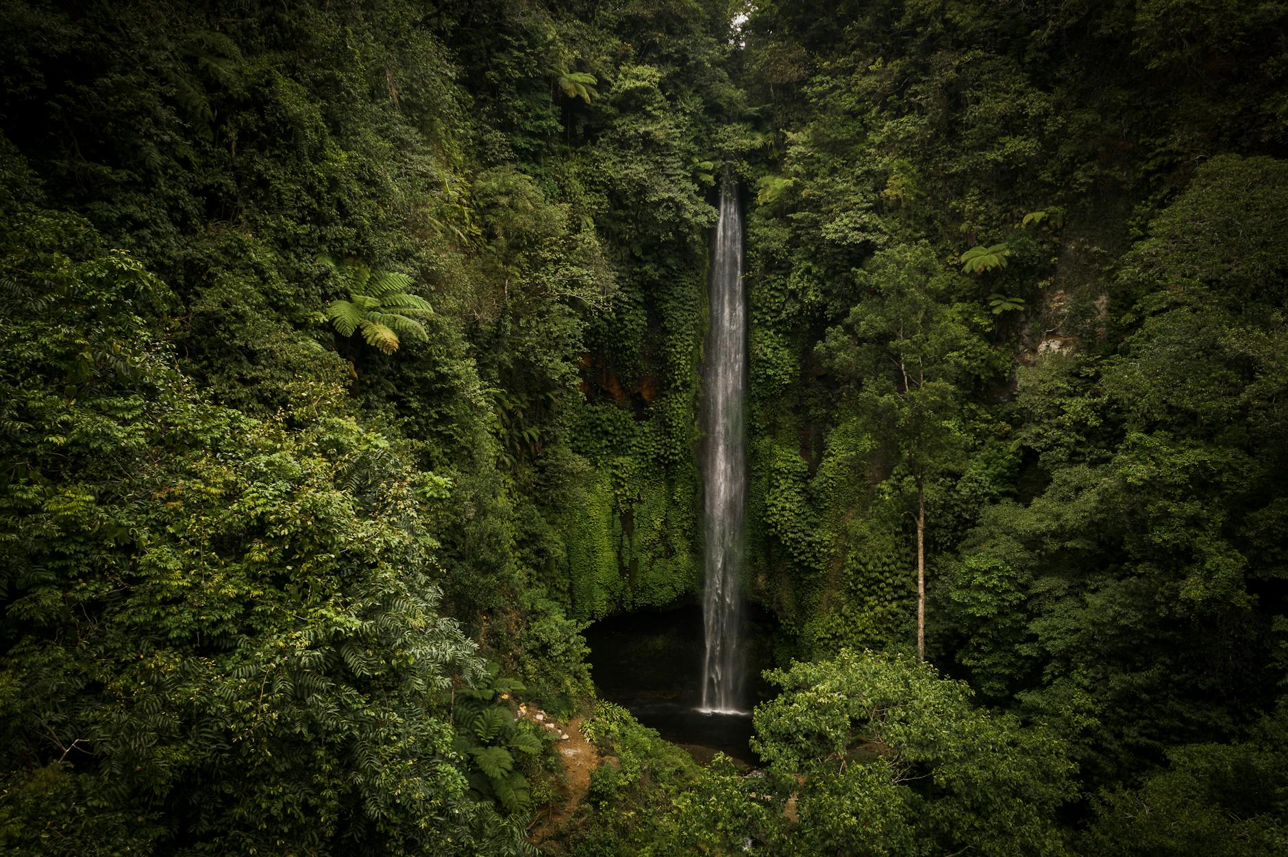 You'll Fall in Love — Panshet