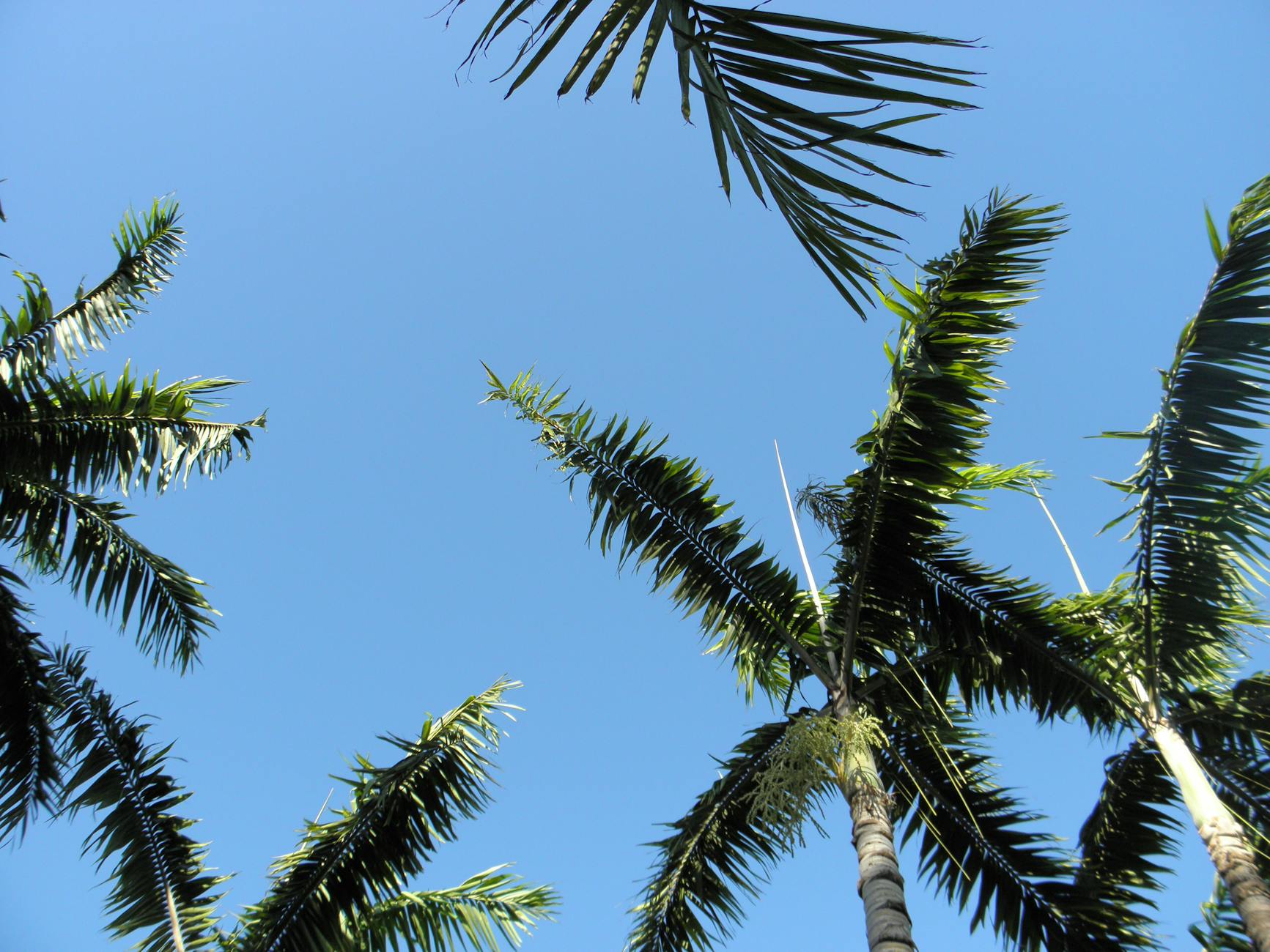 Climate Snapshot — Tala