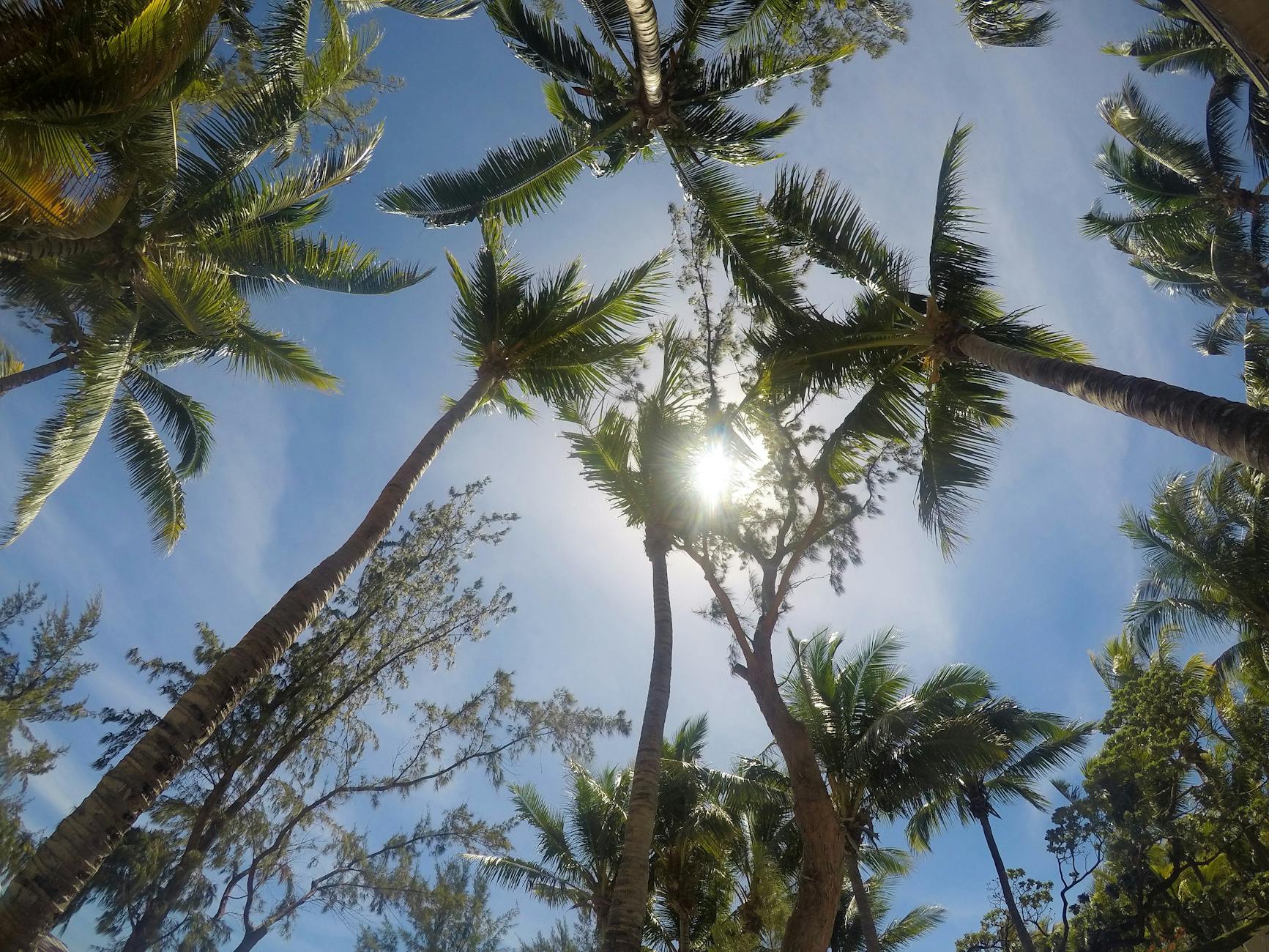 Climate Snapshot — Verla Canca