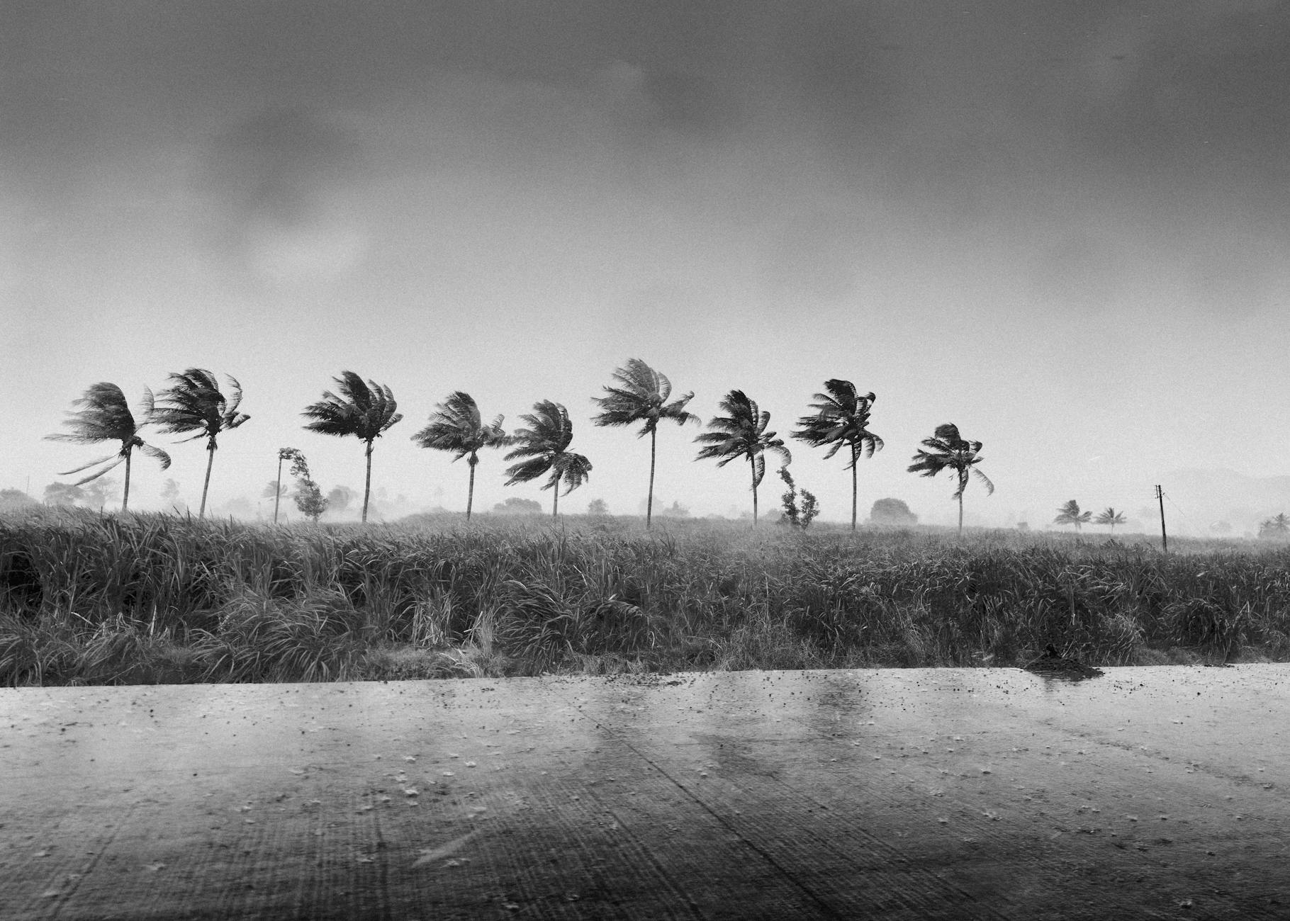 Climate Snapshot — Varsoli