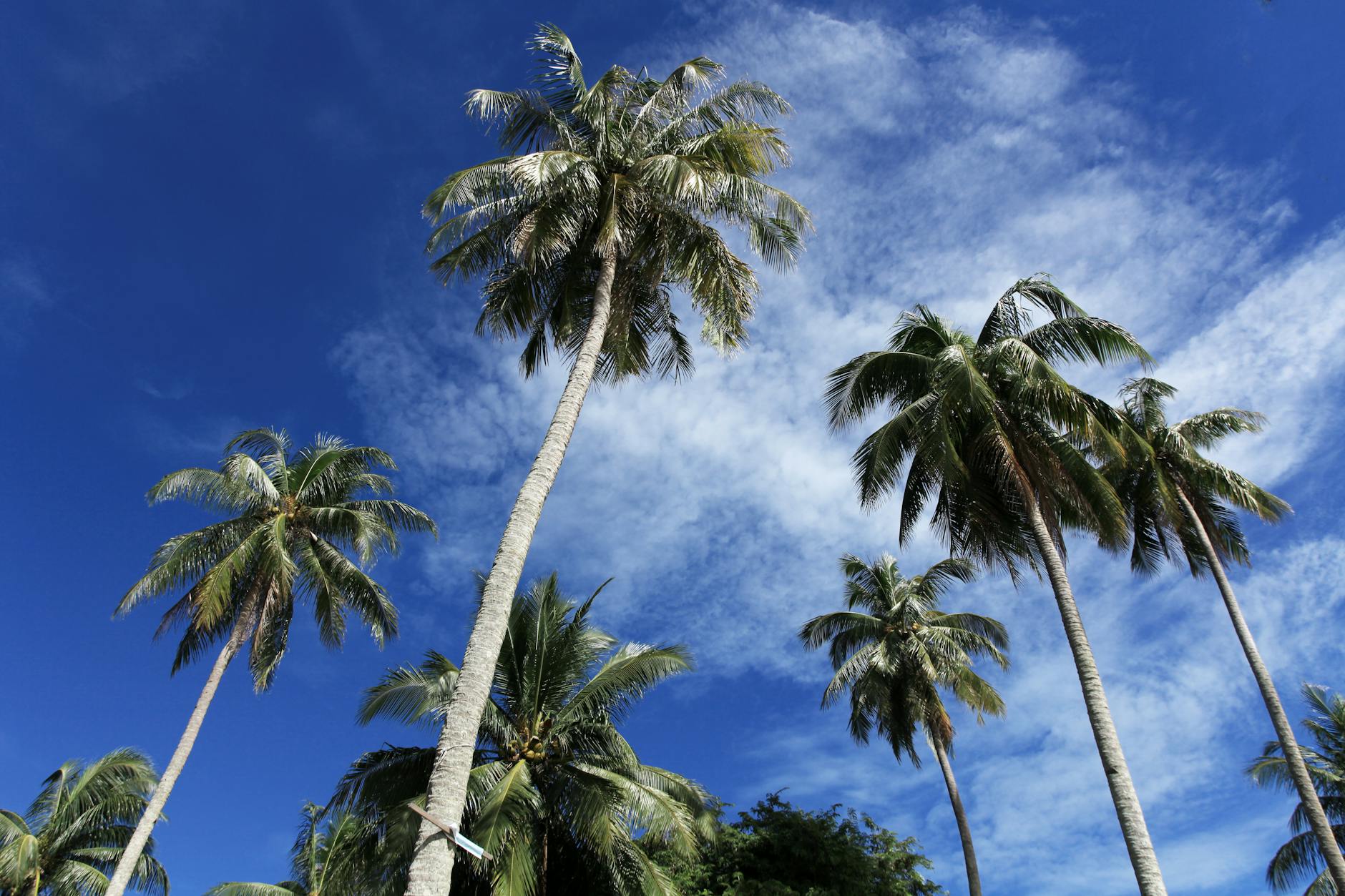 Climate Snapshot — Kudal