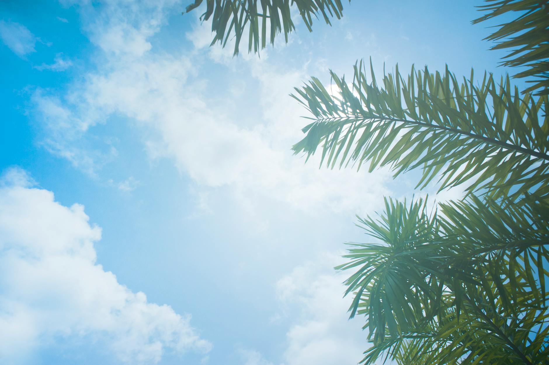 Climate Snapshot — Bingin