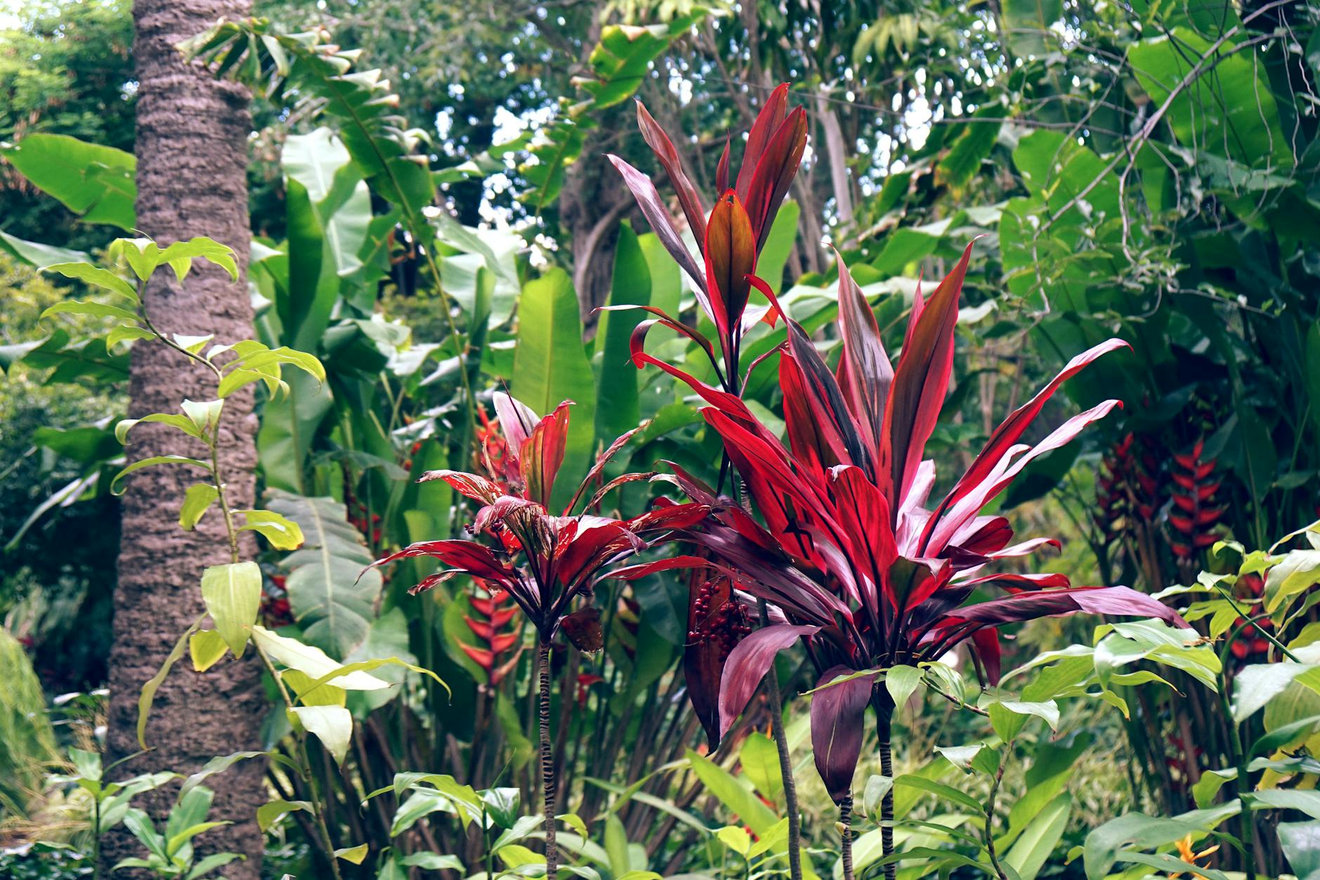 Soil & Ecology — Parra