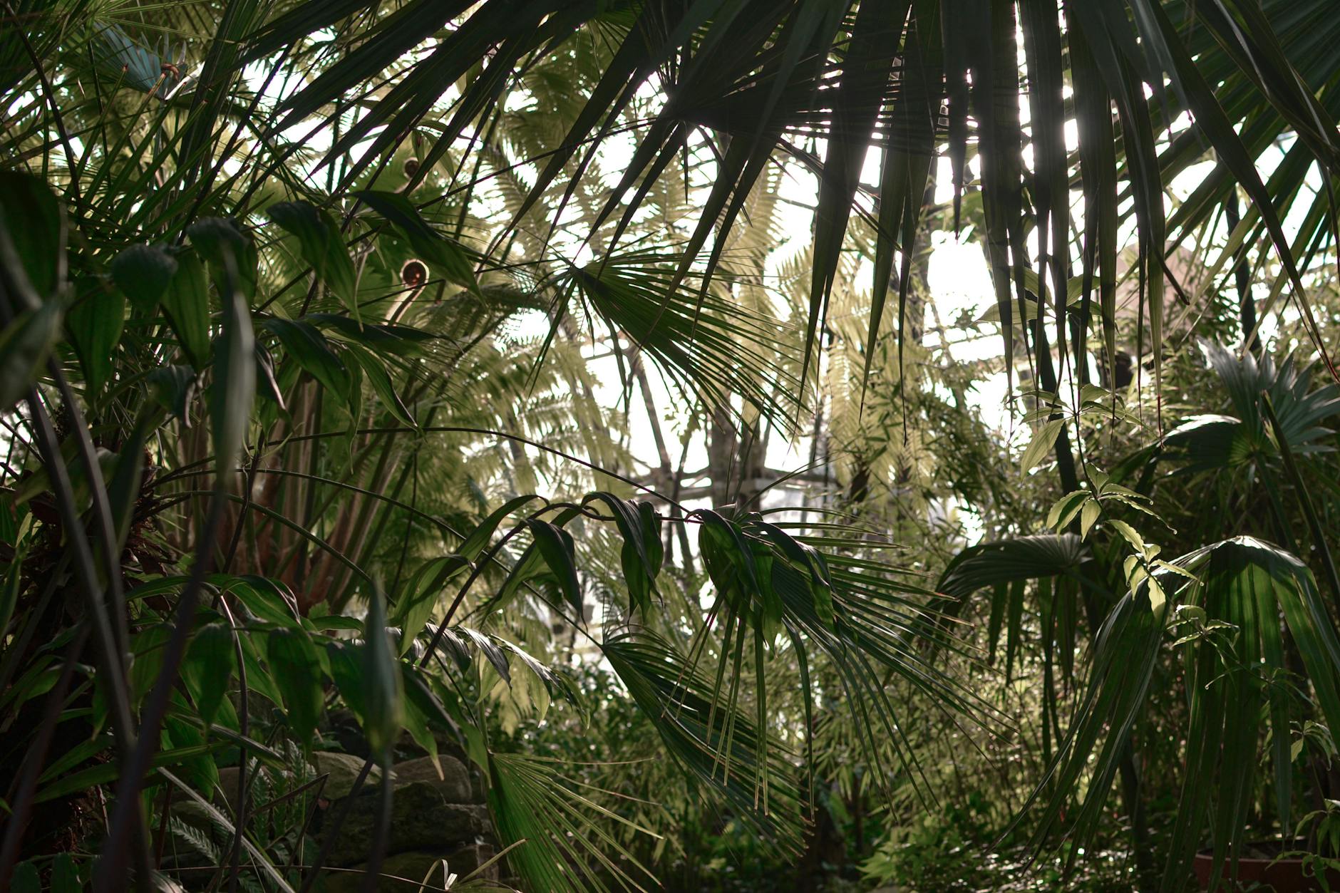 Soil & Ecology — Socorro
