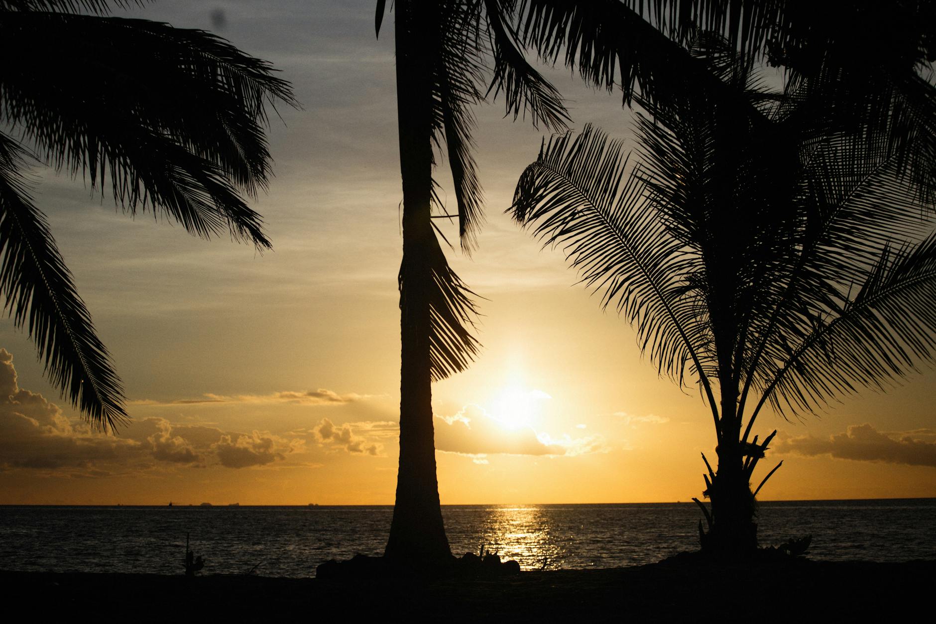 You'll Fall in Love — Tala