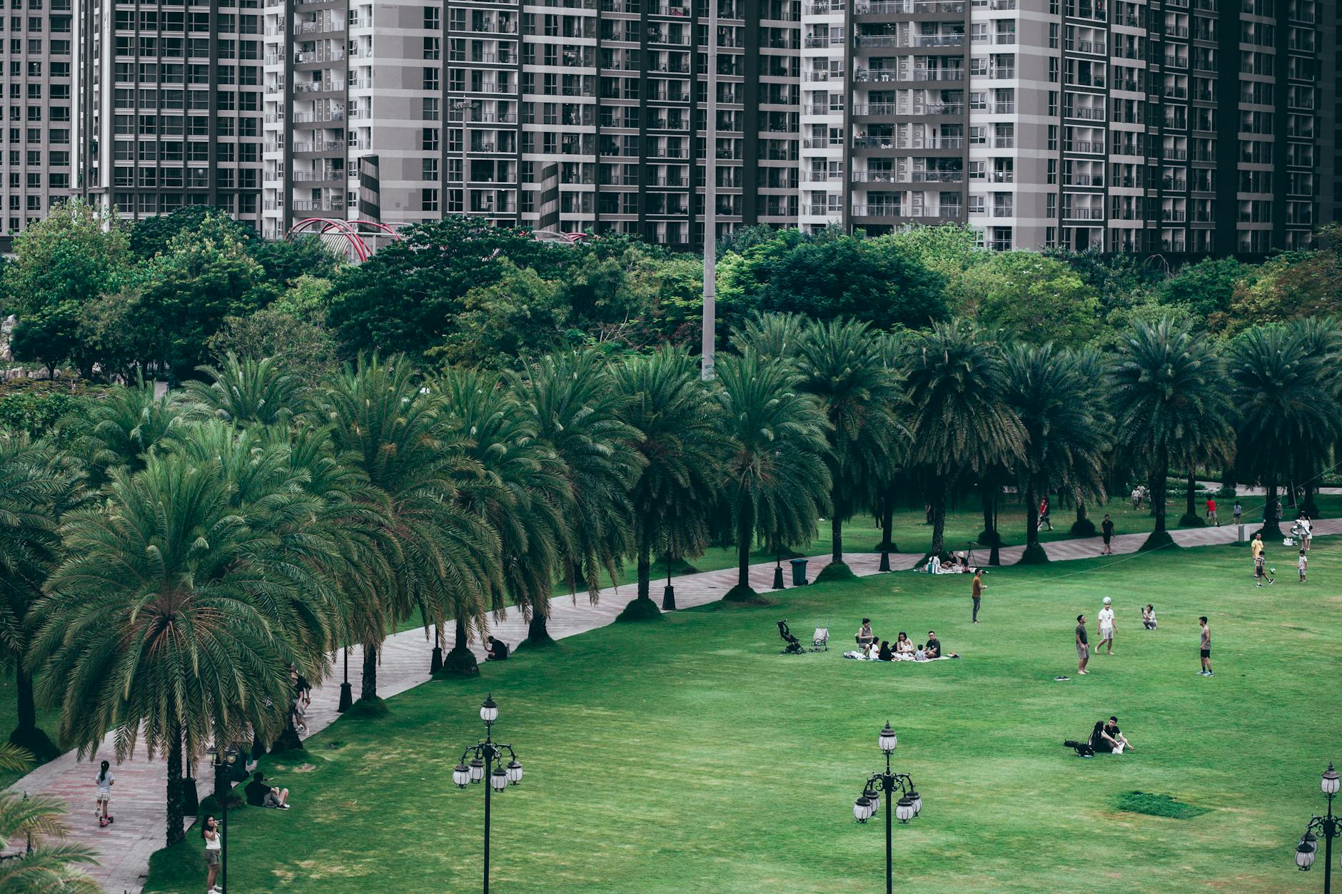 Soil & Ecology — Greater Noida