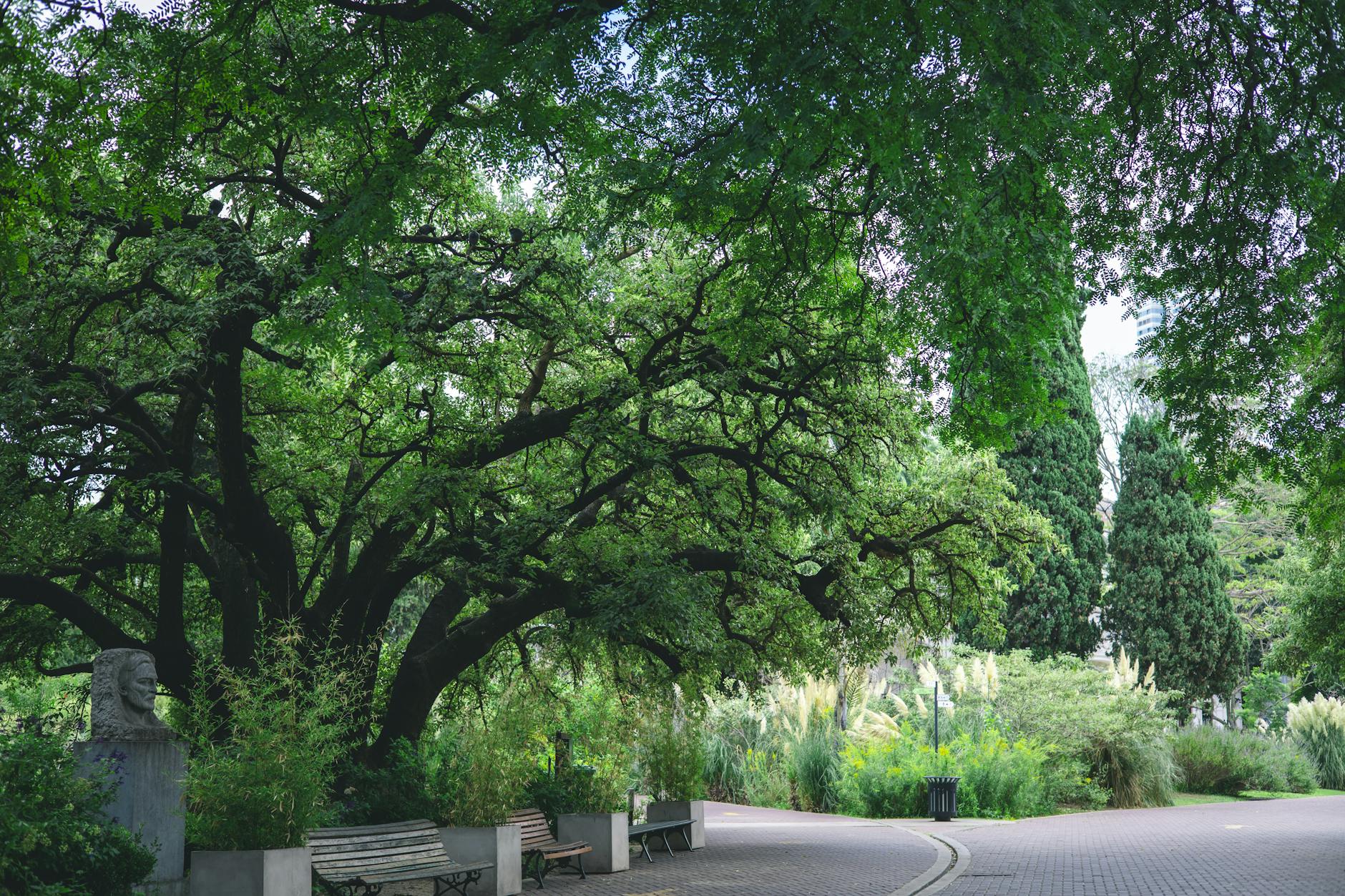 Soil & Ecology — Boisar