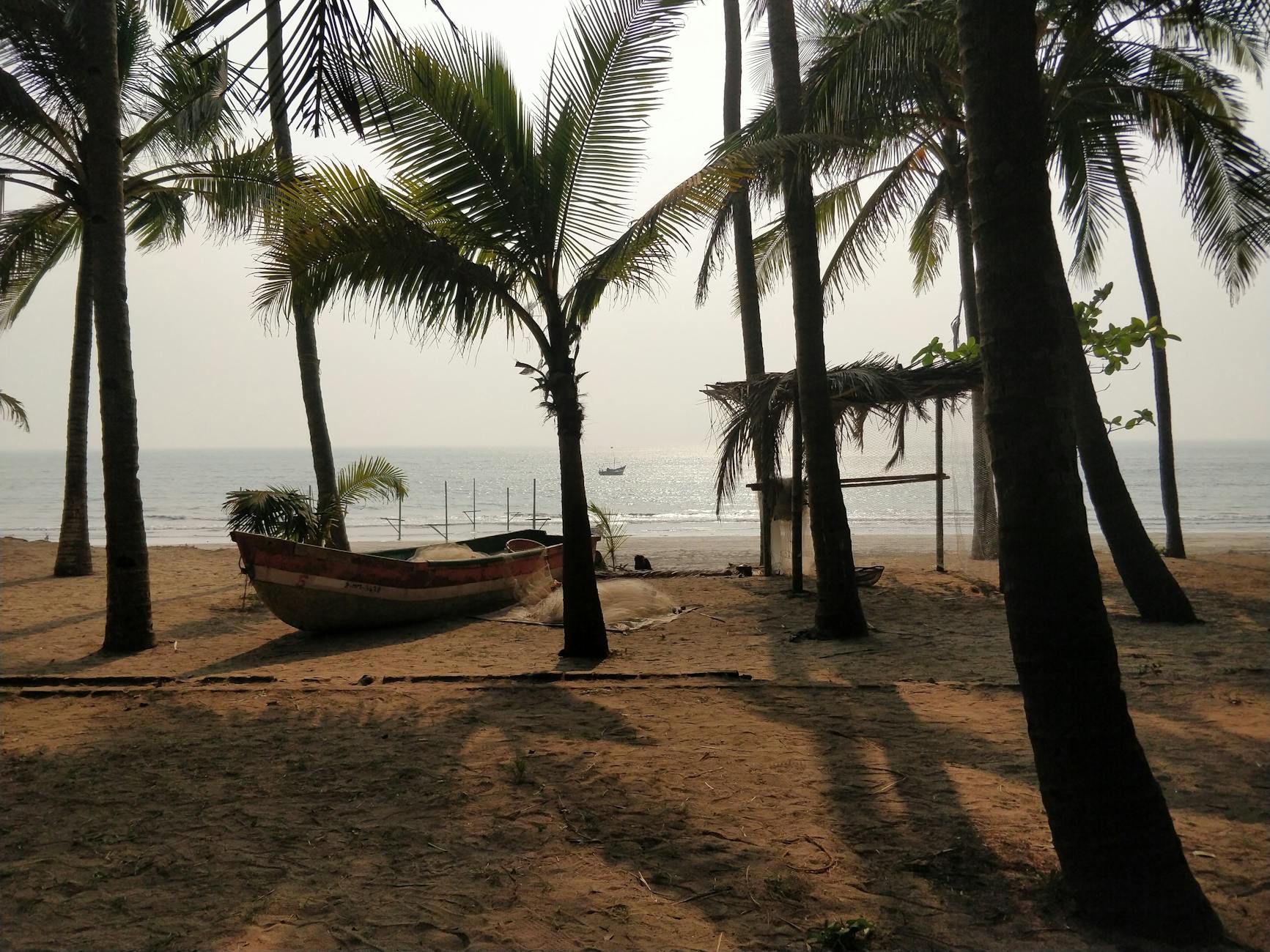 What to Expect — Alibag