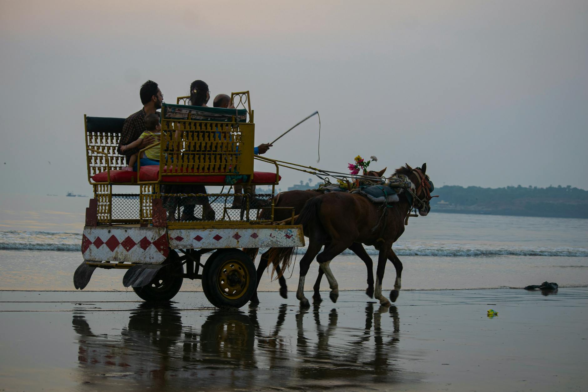 What to Expect — Alibaug
