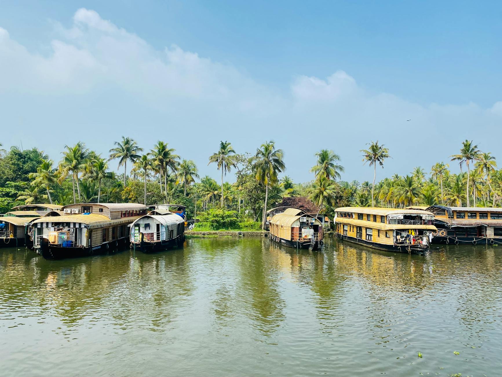 The Lifestyle — Alleppey