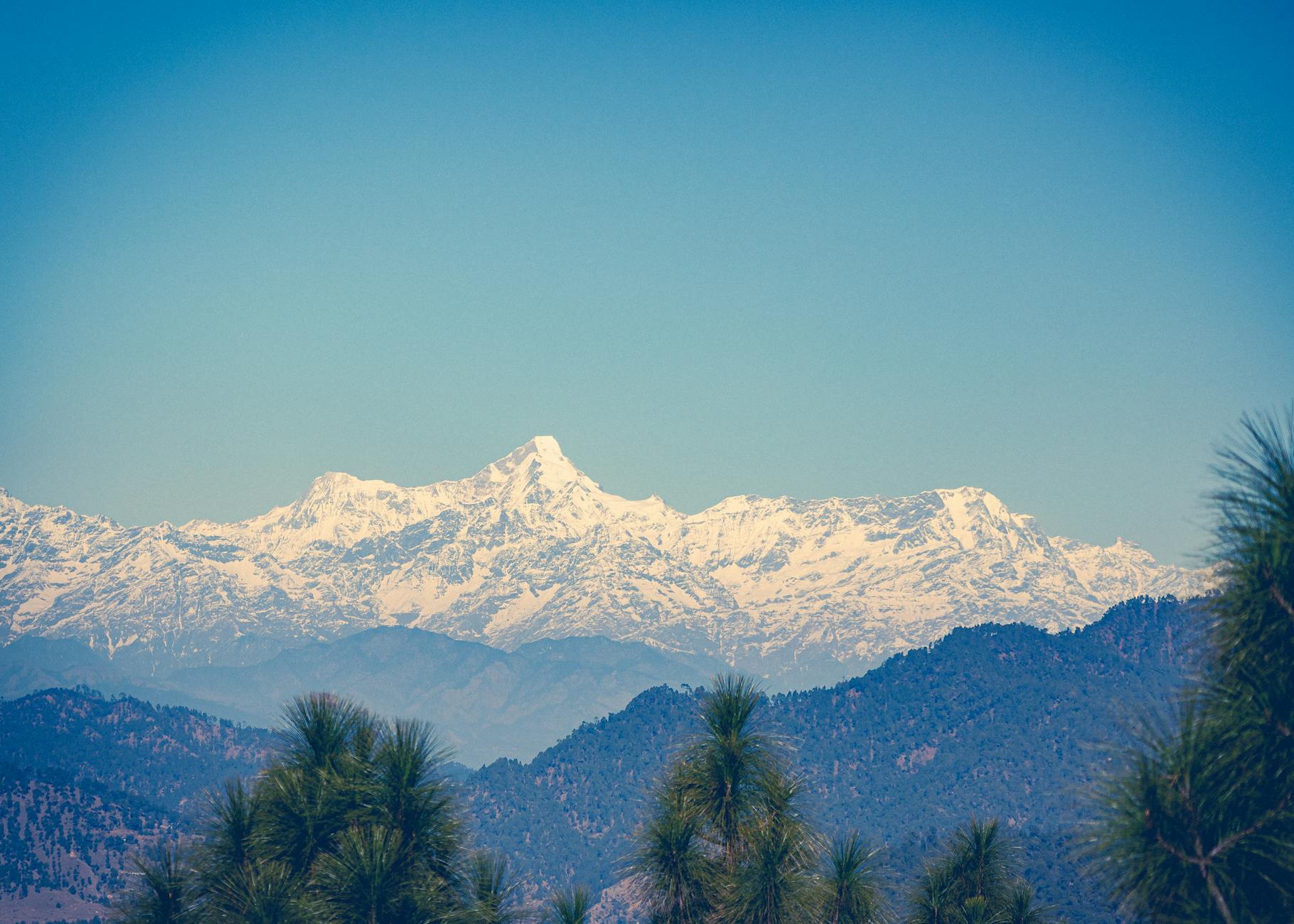 The Lifestyle — Almora