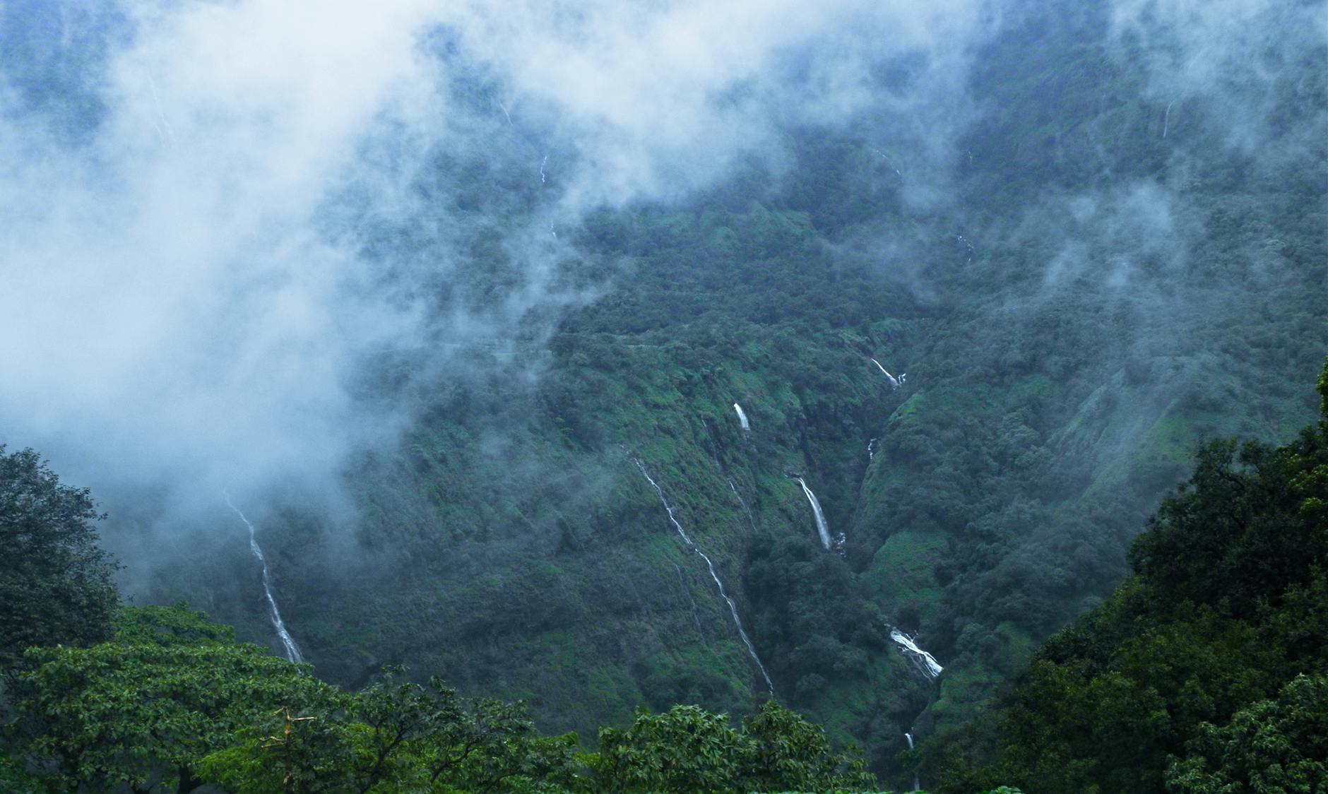 What to Expect — Amboli Ghat