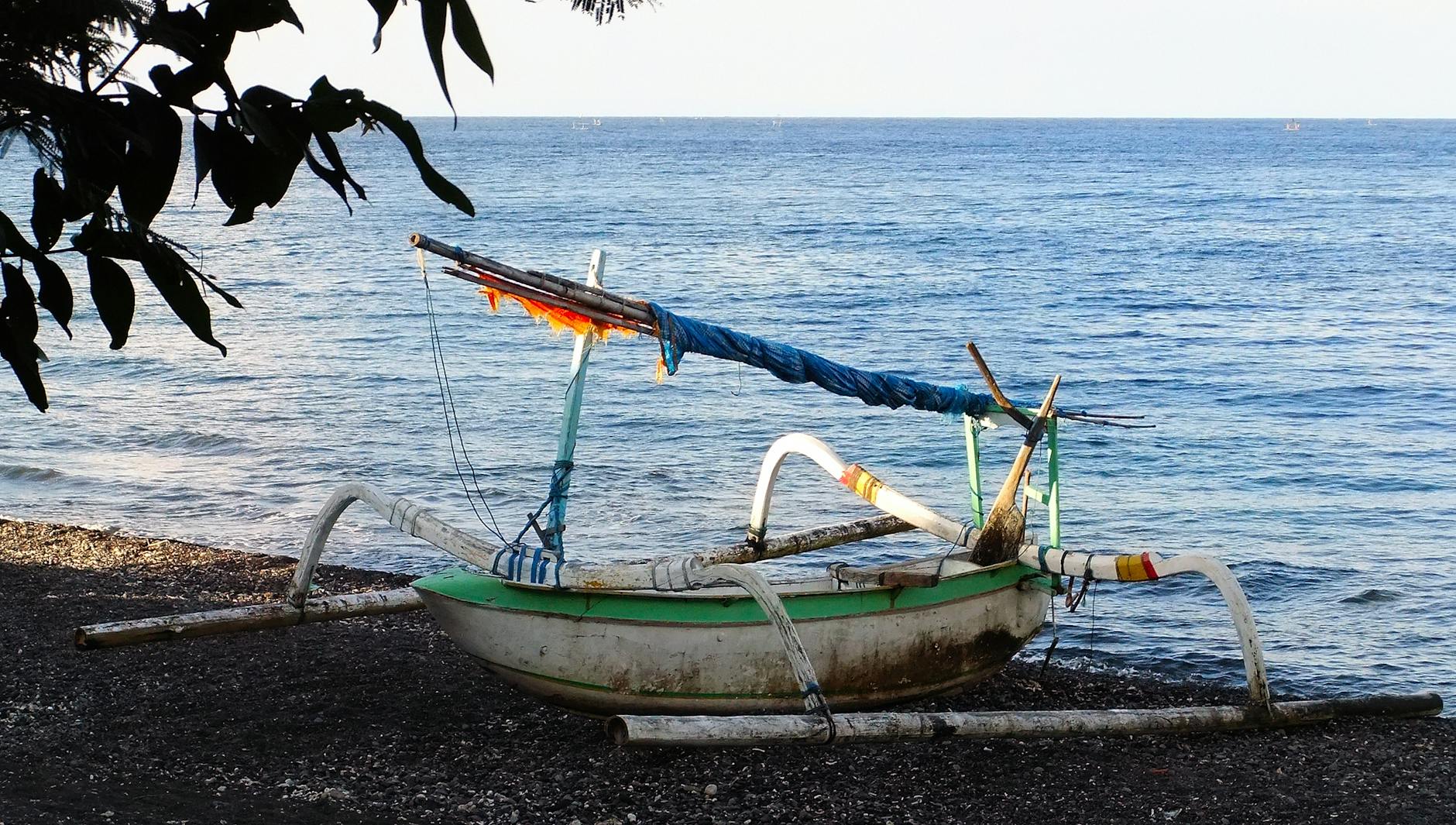 The Lifestyle — Amed
