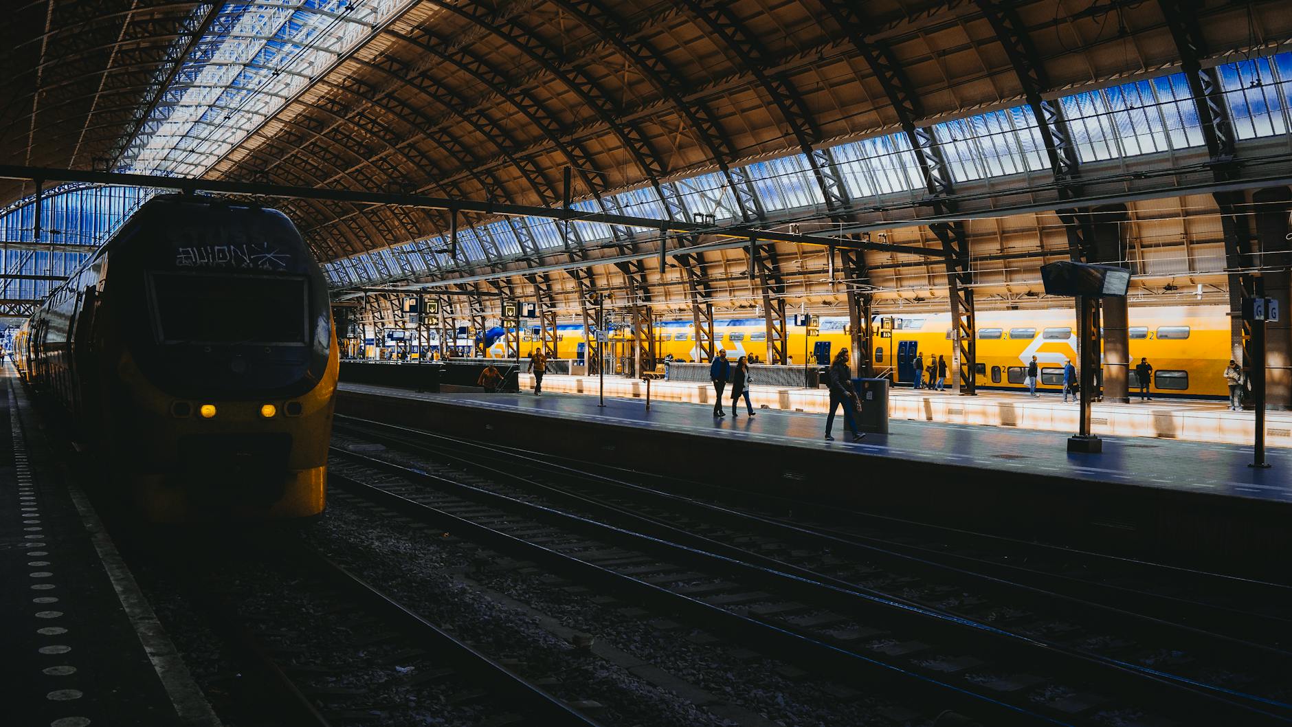 What to Expect — Amsterdam Noord