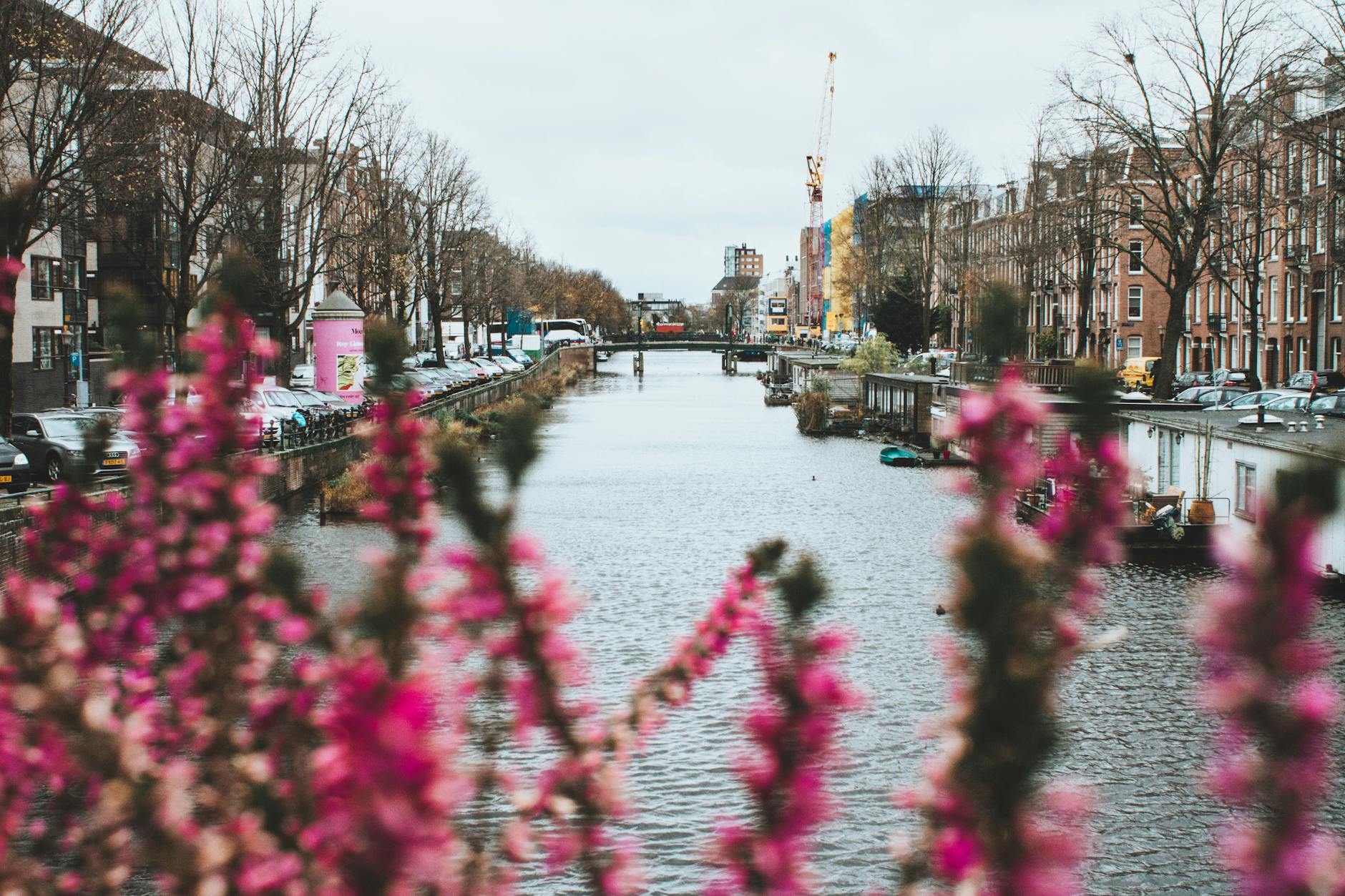 The Lifestyle — Amsterdam