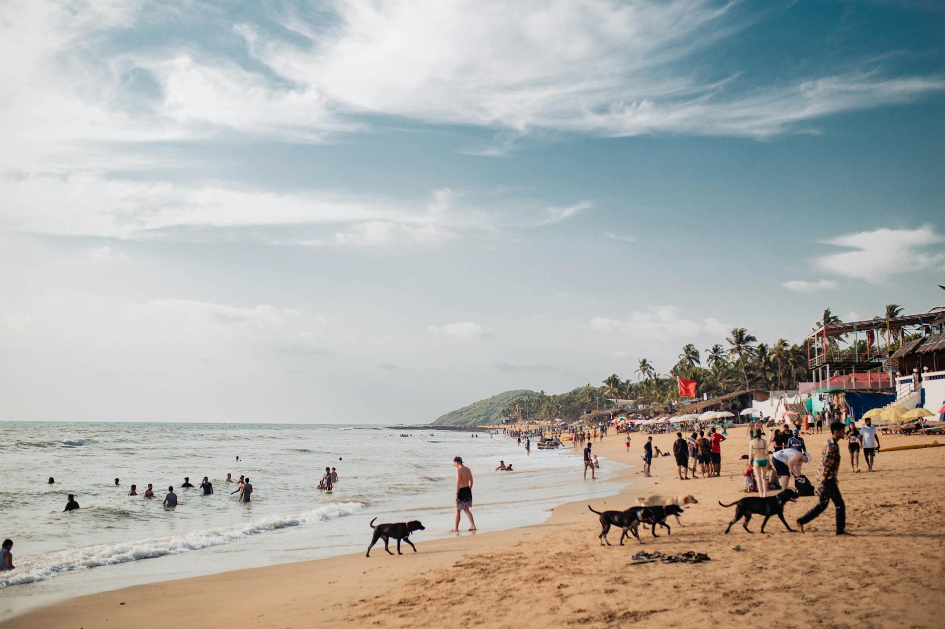 The Lifestyle — Baga