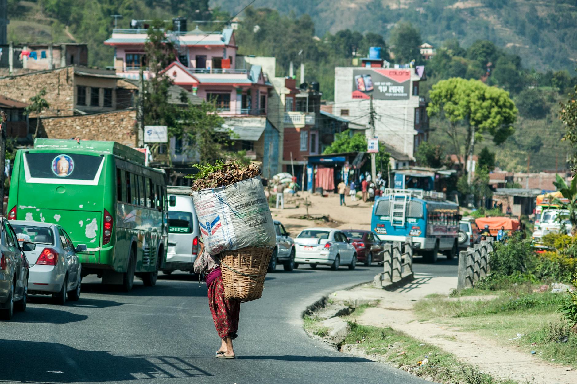 The Lifestyle — Bandipur