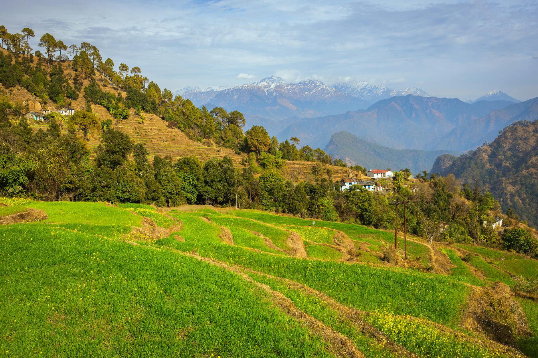 What to Expect — Bhimtal