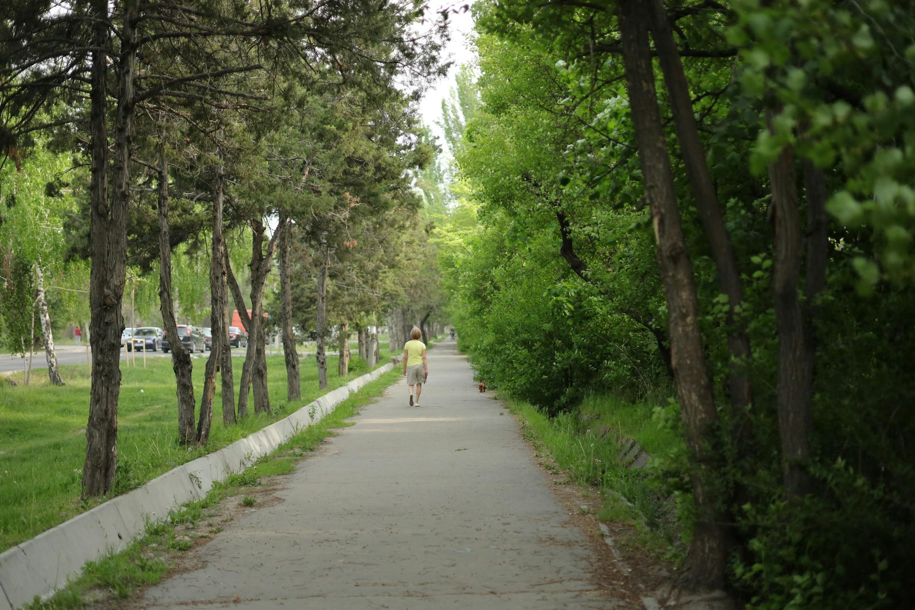 A Look into Bishkek โ Bishkek