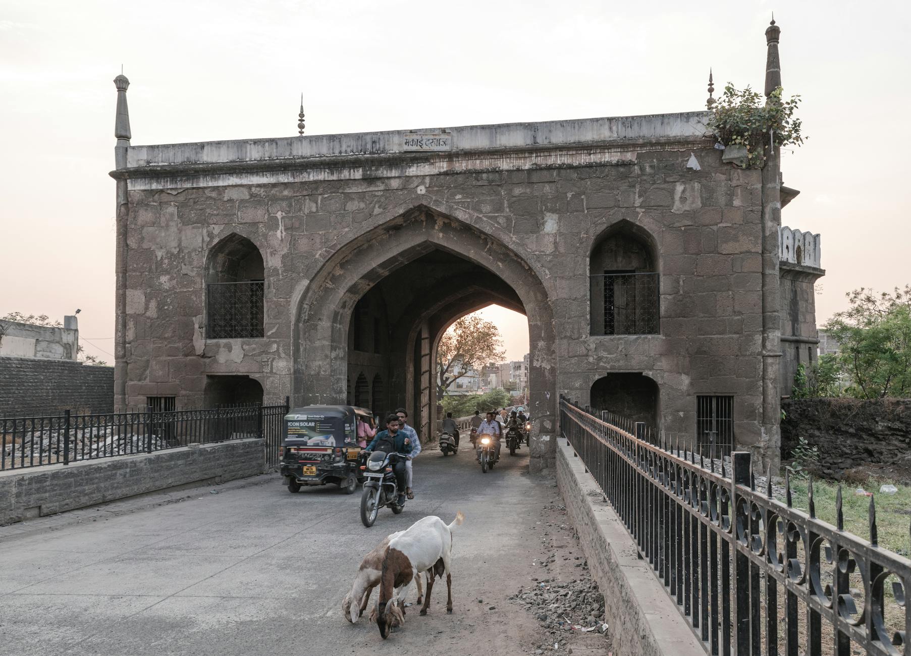 What to Expect — Boisar