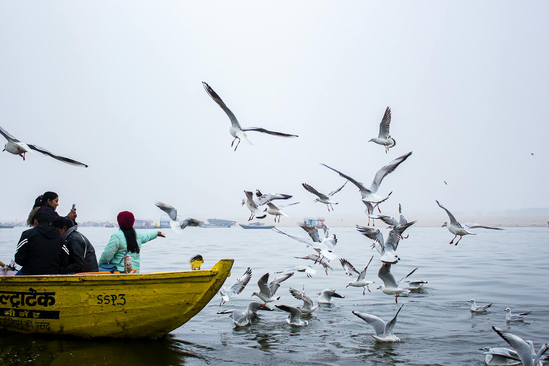 What to Expect — Brijghat