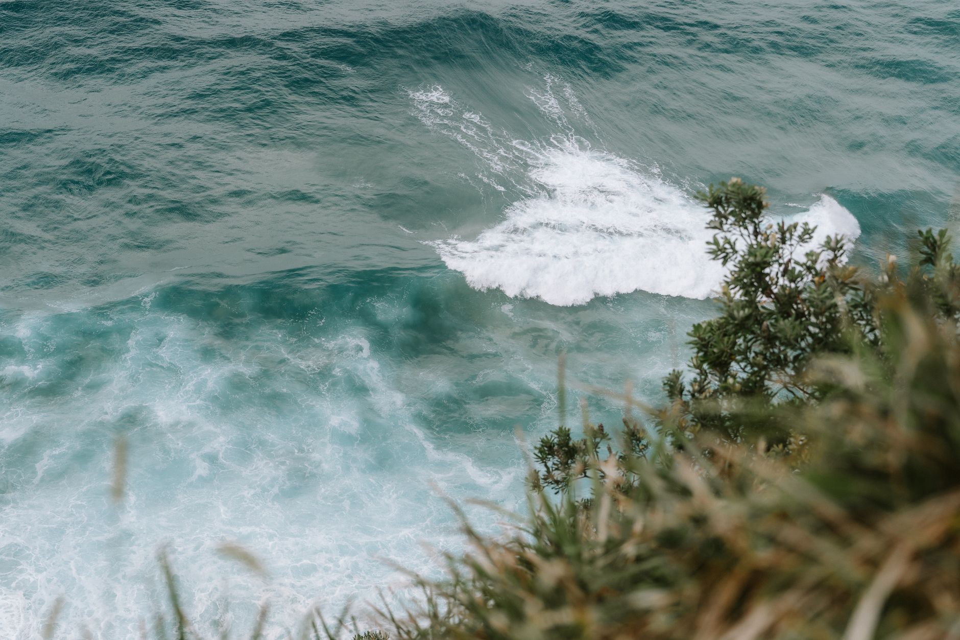 What to Expect — Byron Bay