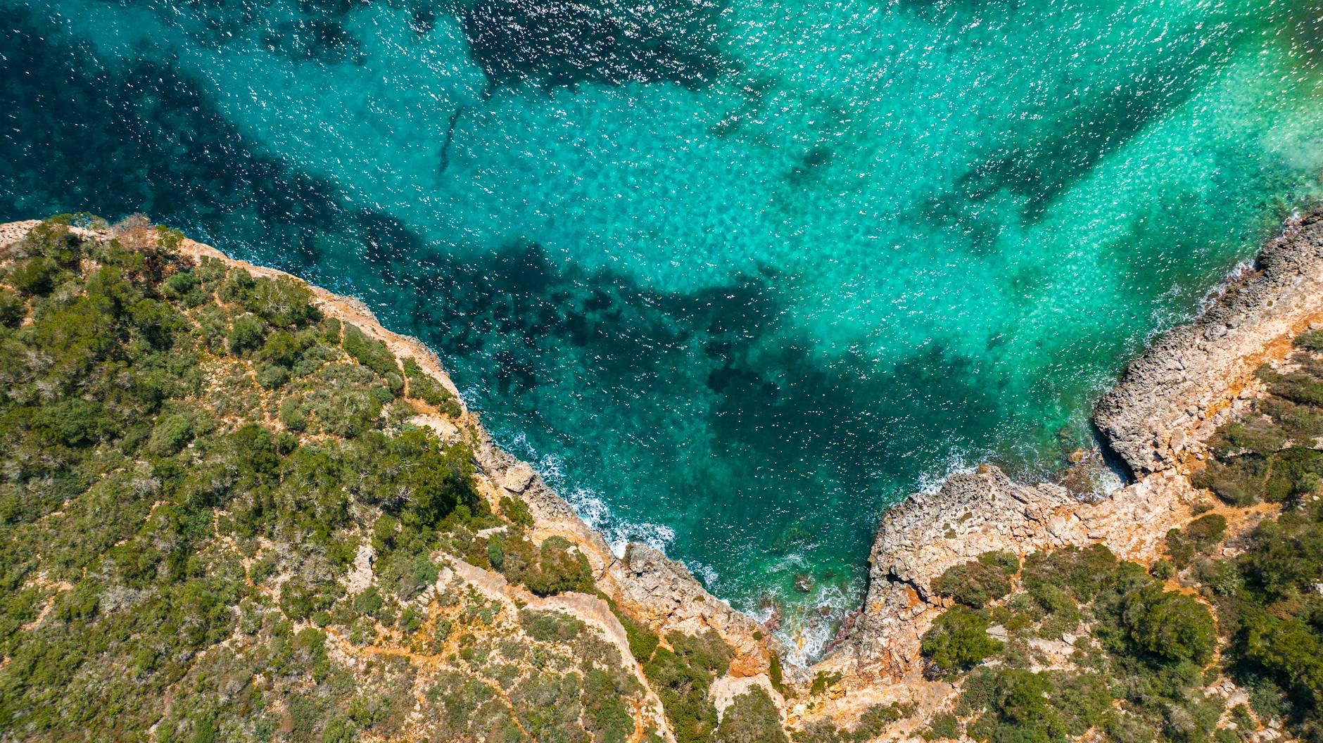 The Lifestyle — Cala D Or